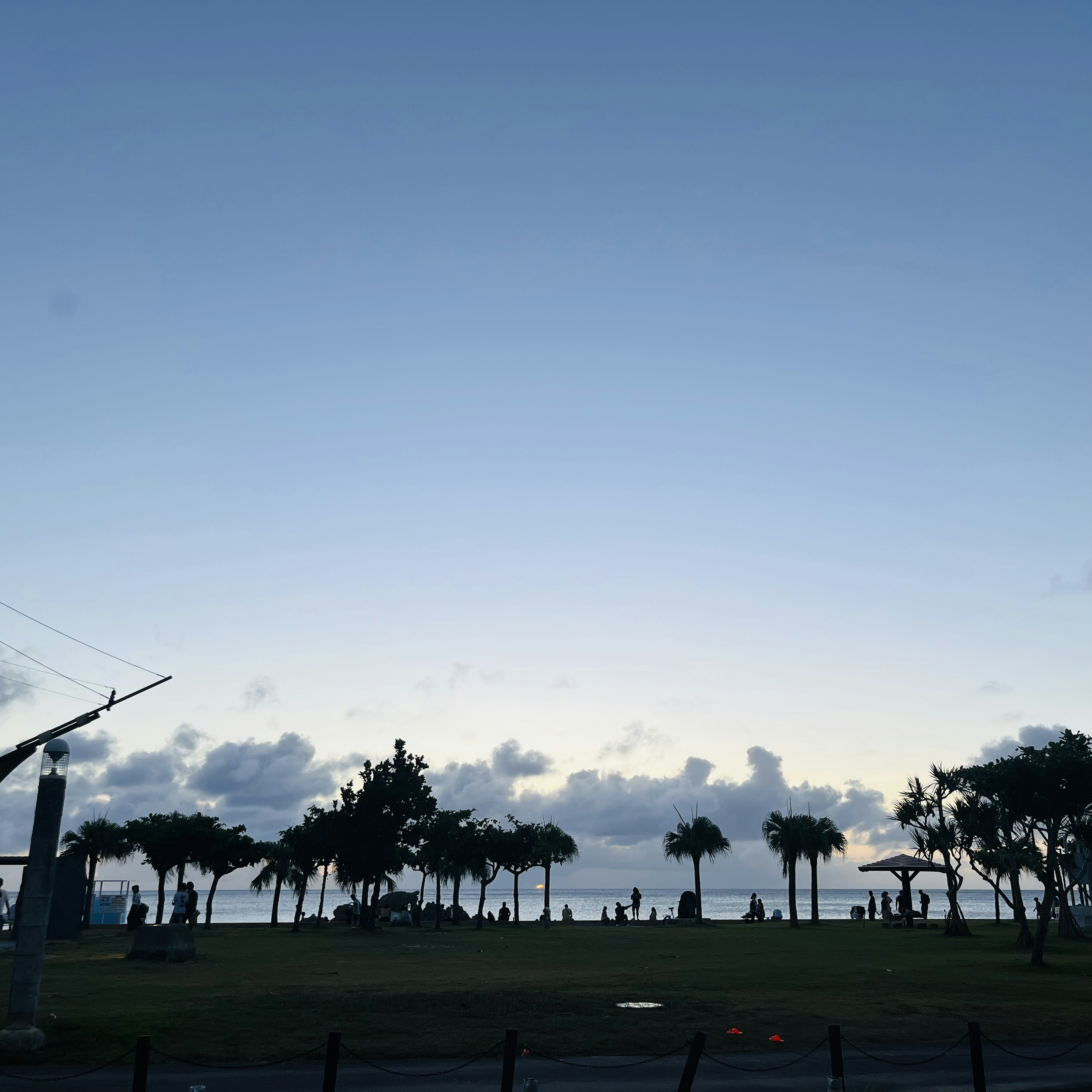 Vue d'un parc en bord de mer avec ciel bleu nuages et palmiers