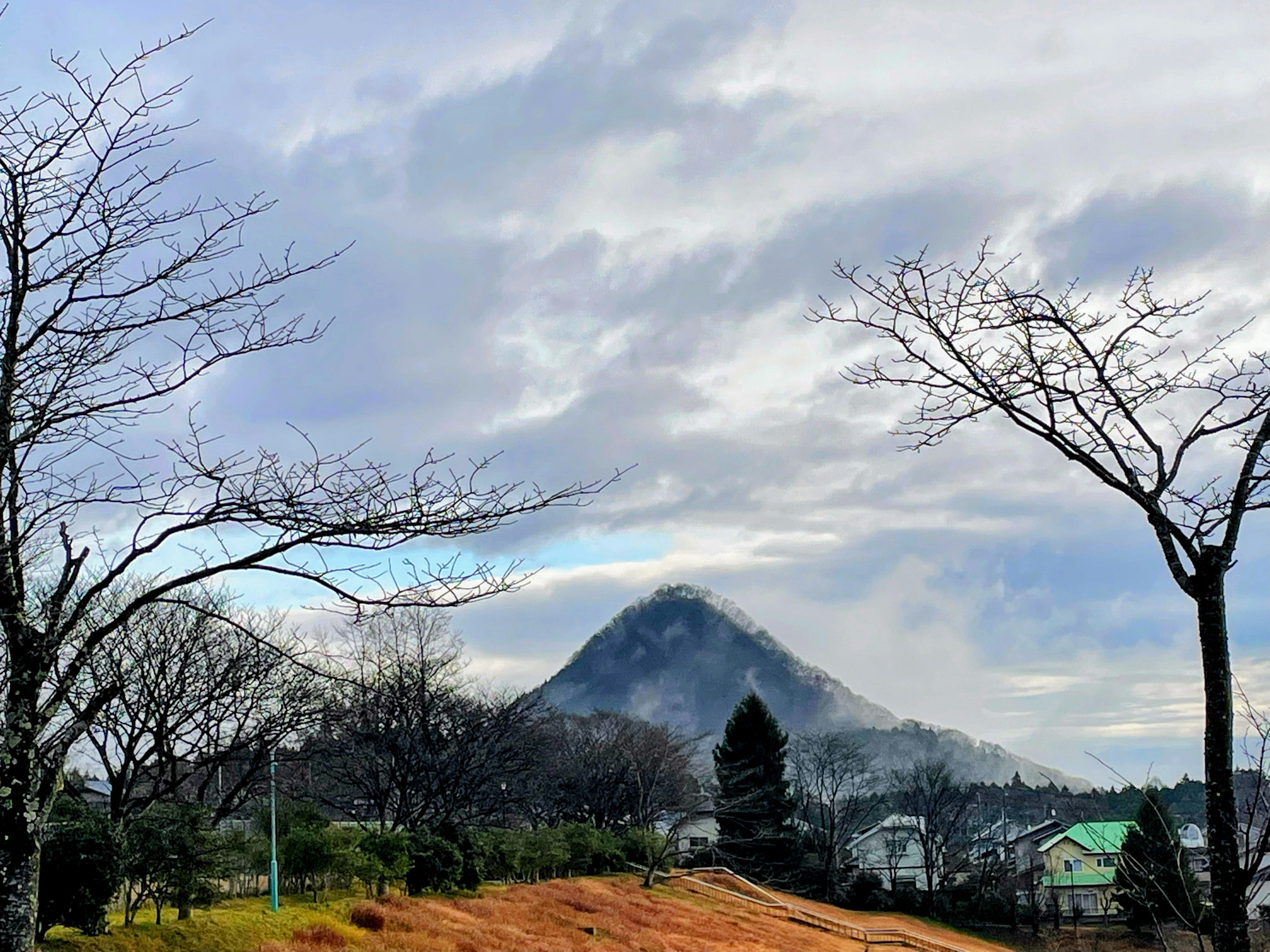 Mountain view with bare trees and cloudy sky