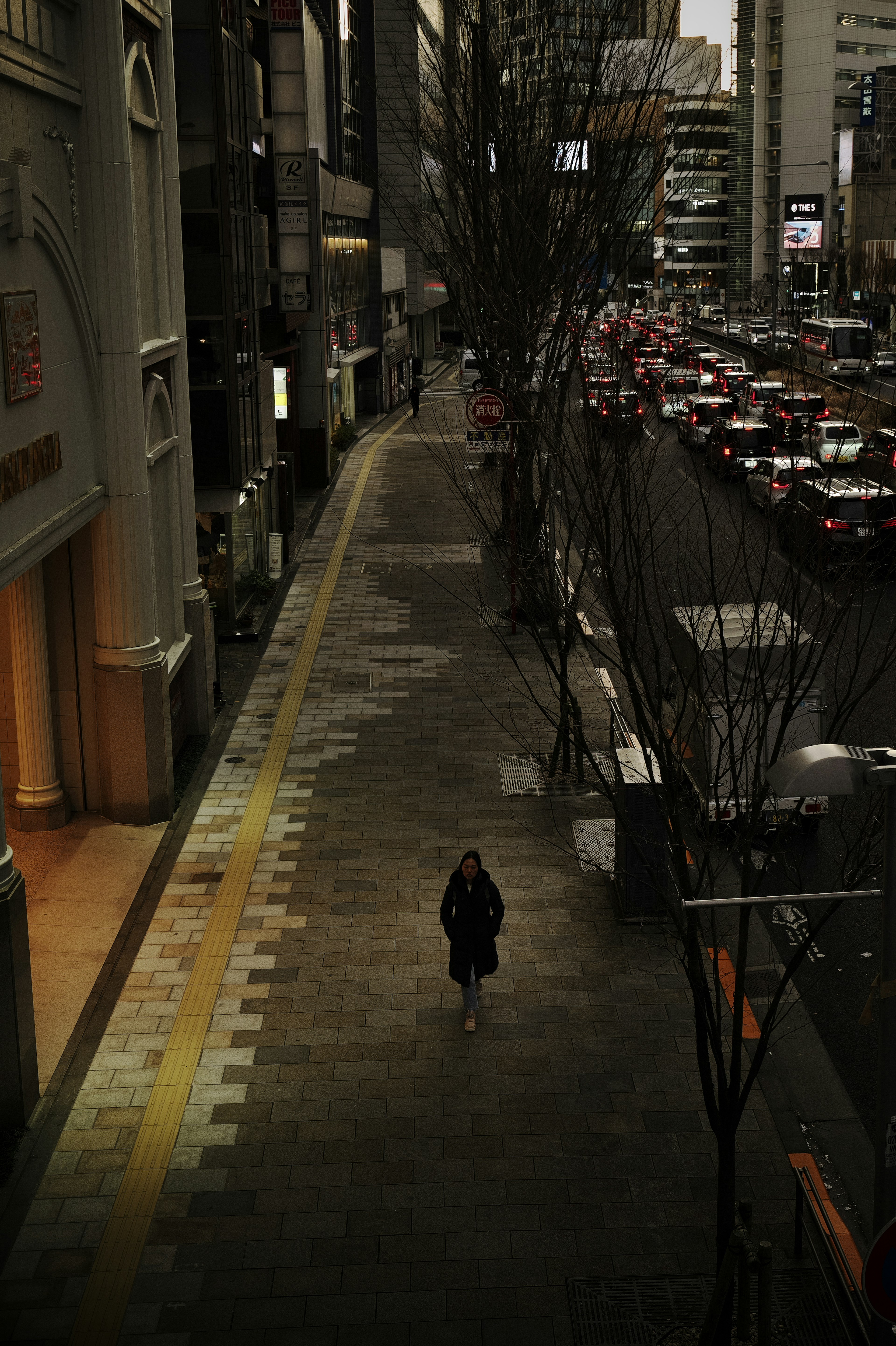 A person walking on a dimly lit city street with lined cars