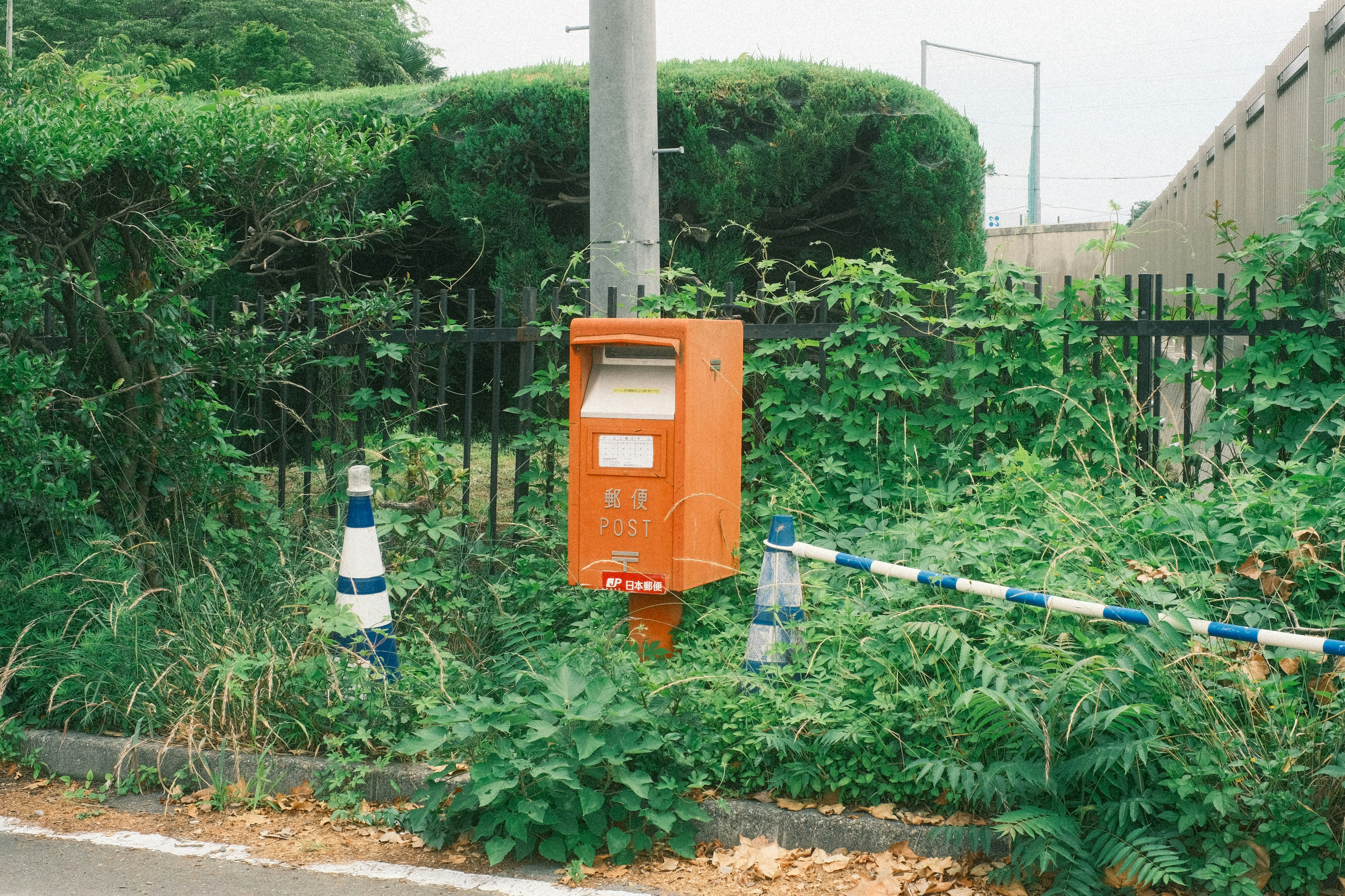 オレンジ色の郵便ポストが緑の草に囲まれている風景