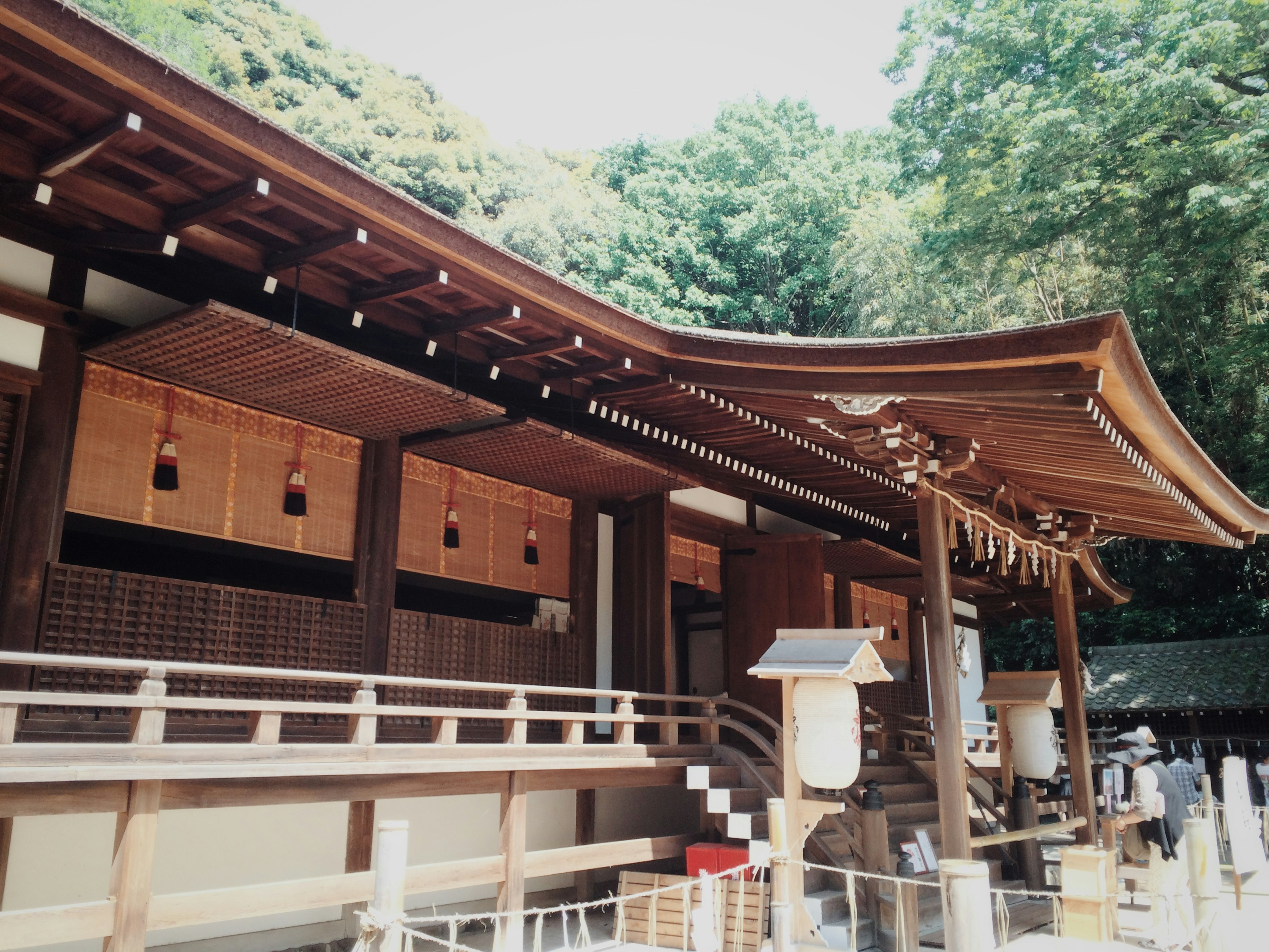 美麗的神社建築被茂密的綠樹環繞