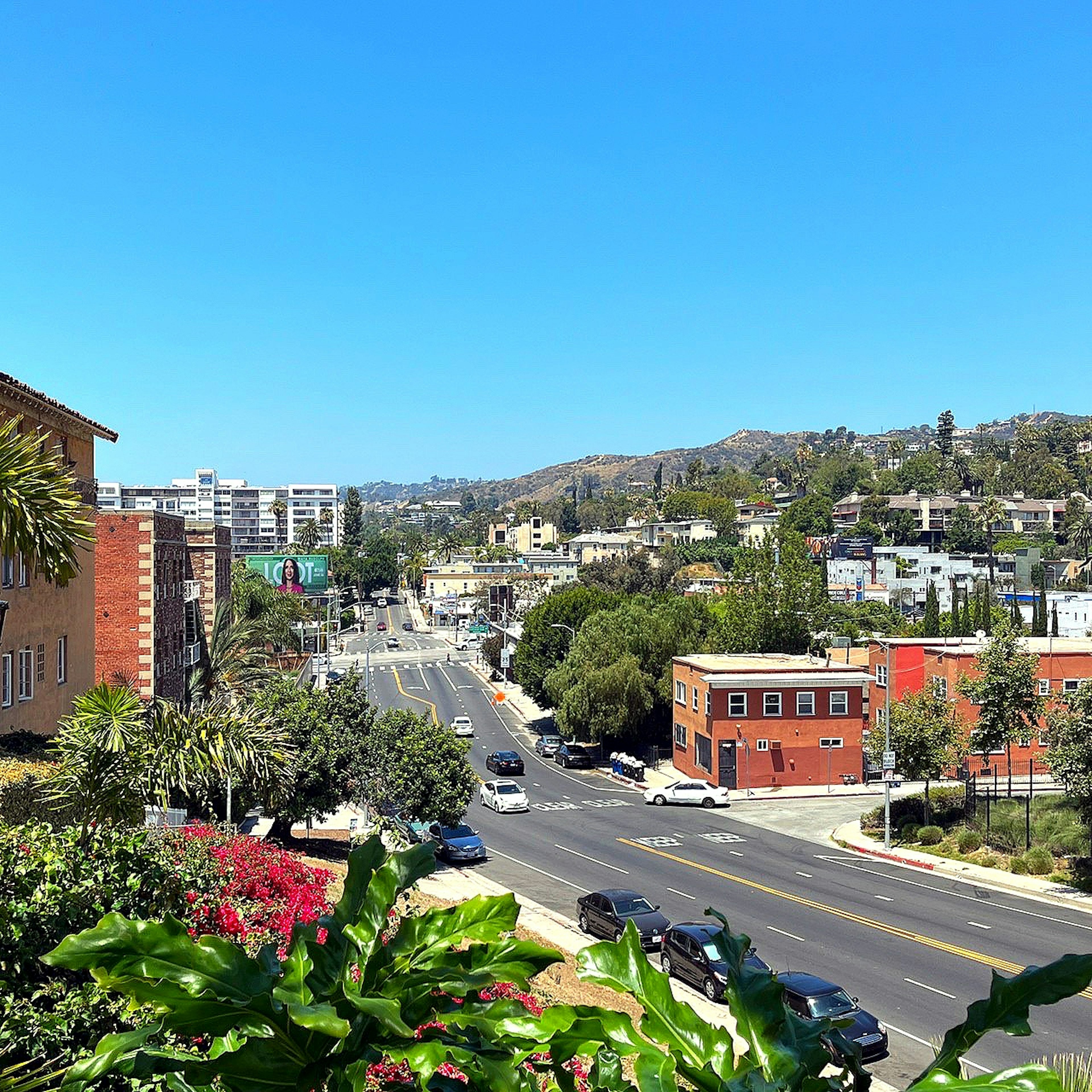 Vista de un vecindario de California del Sur con cielo azul claro y vegetación exuberante