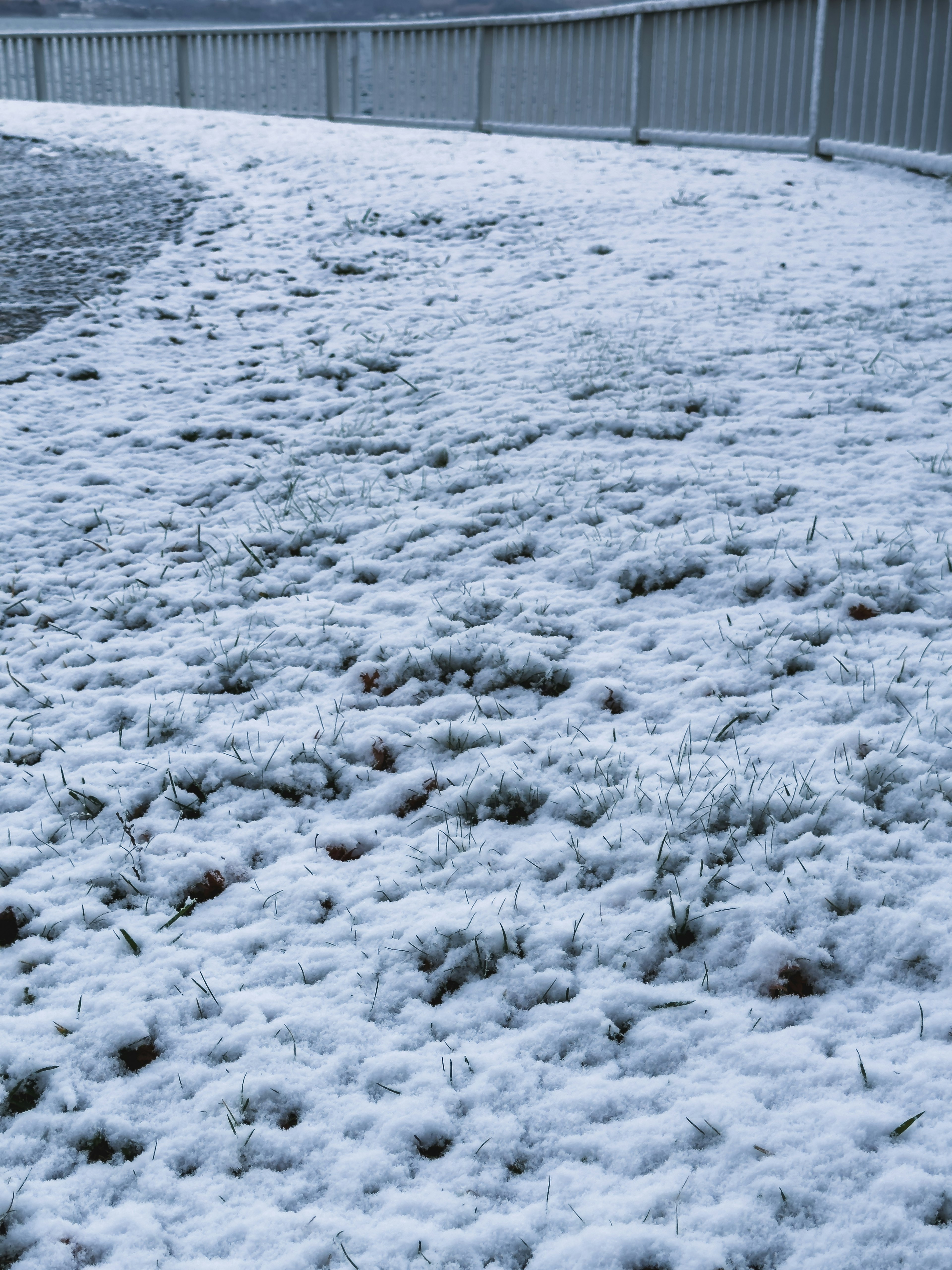 Snow-covered grass landscape with a white fence