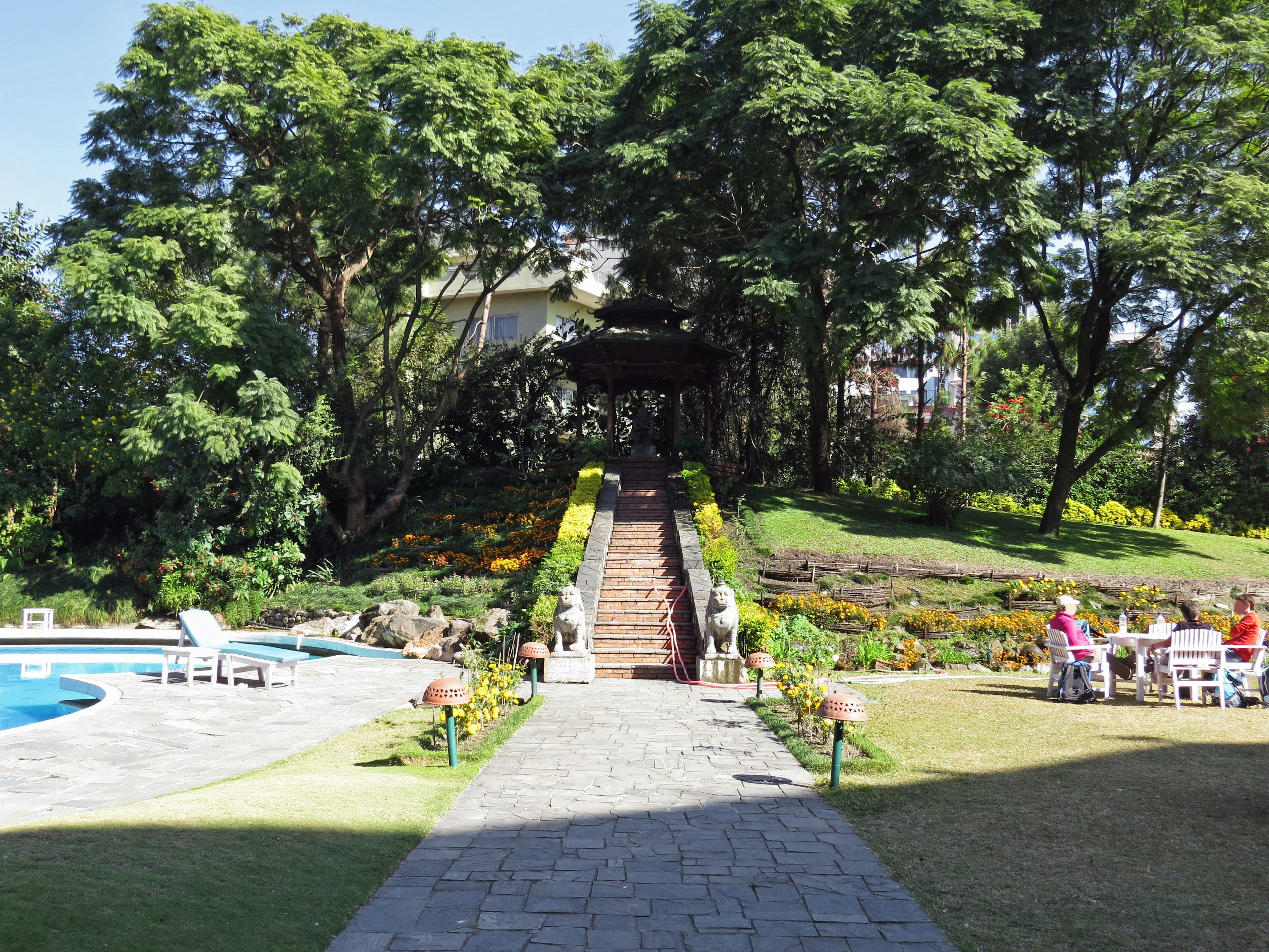 緑豊かな庭とプールがある美しい風景、階段を上る道と家が見える