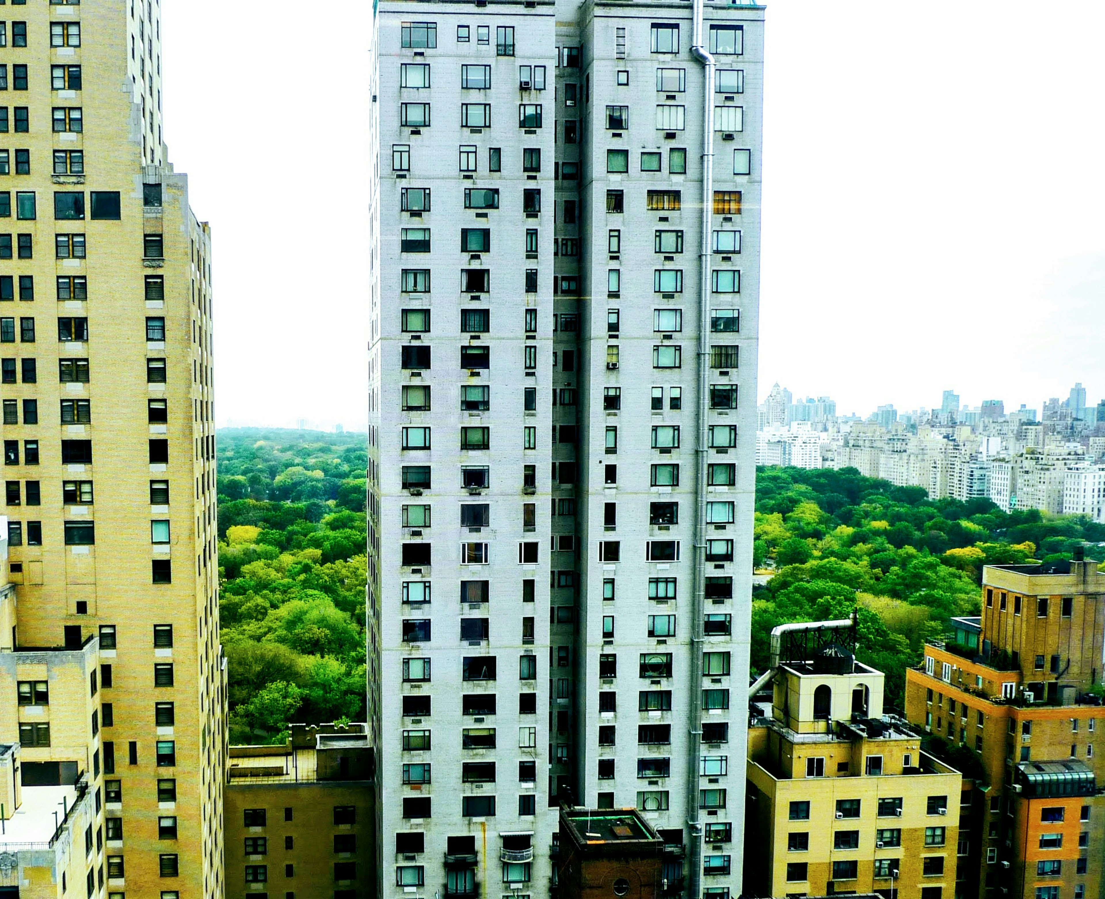 View of tall buildings with a green park