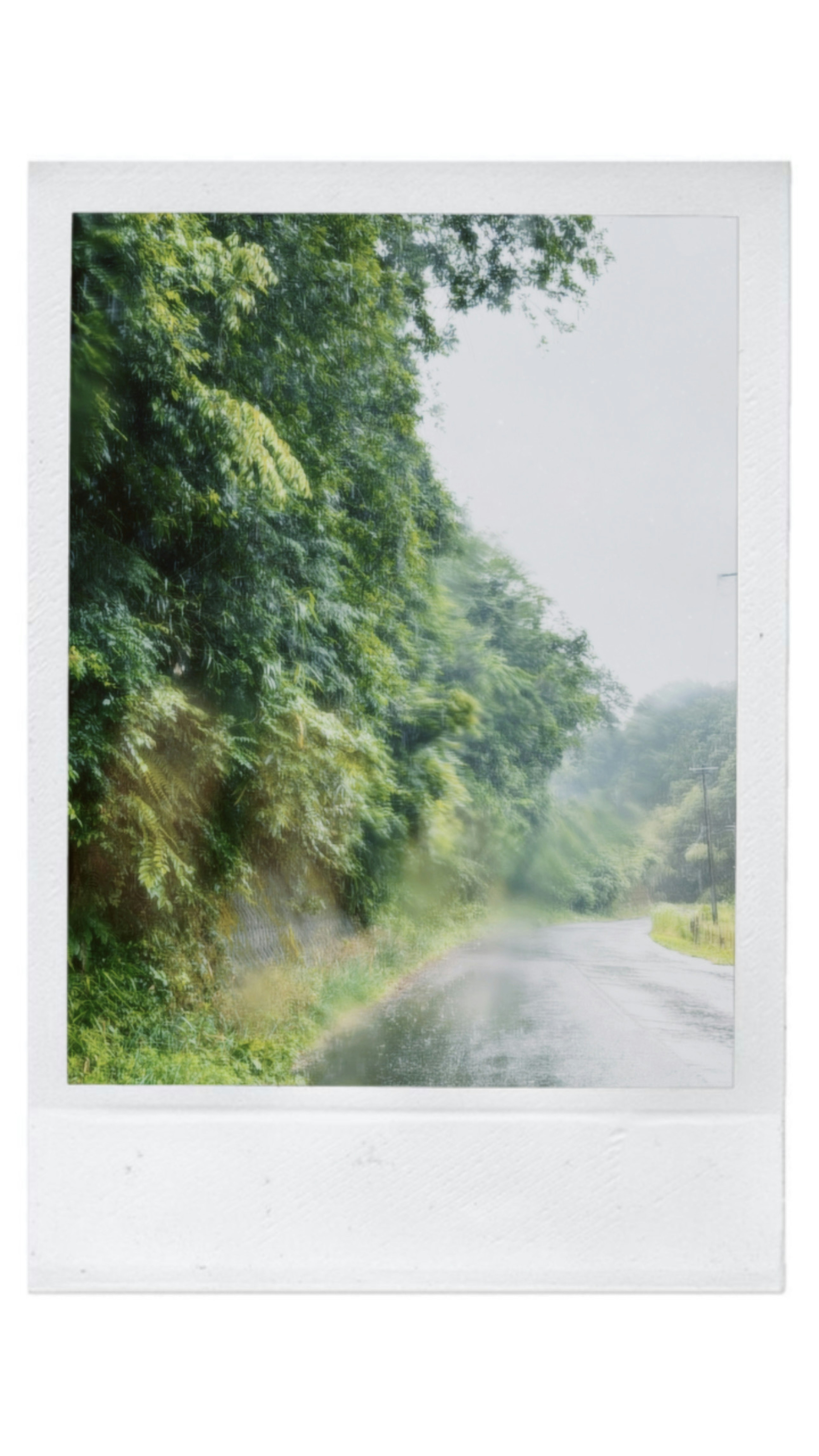 photo-YOLSBDxxTX0oaMCmd0vf-image