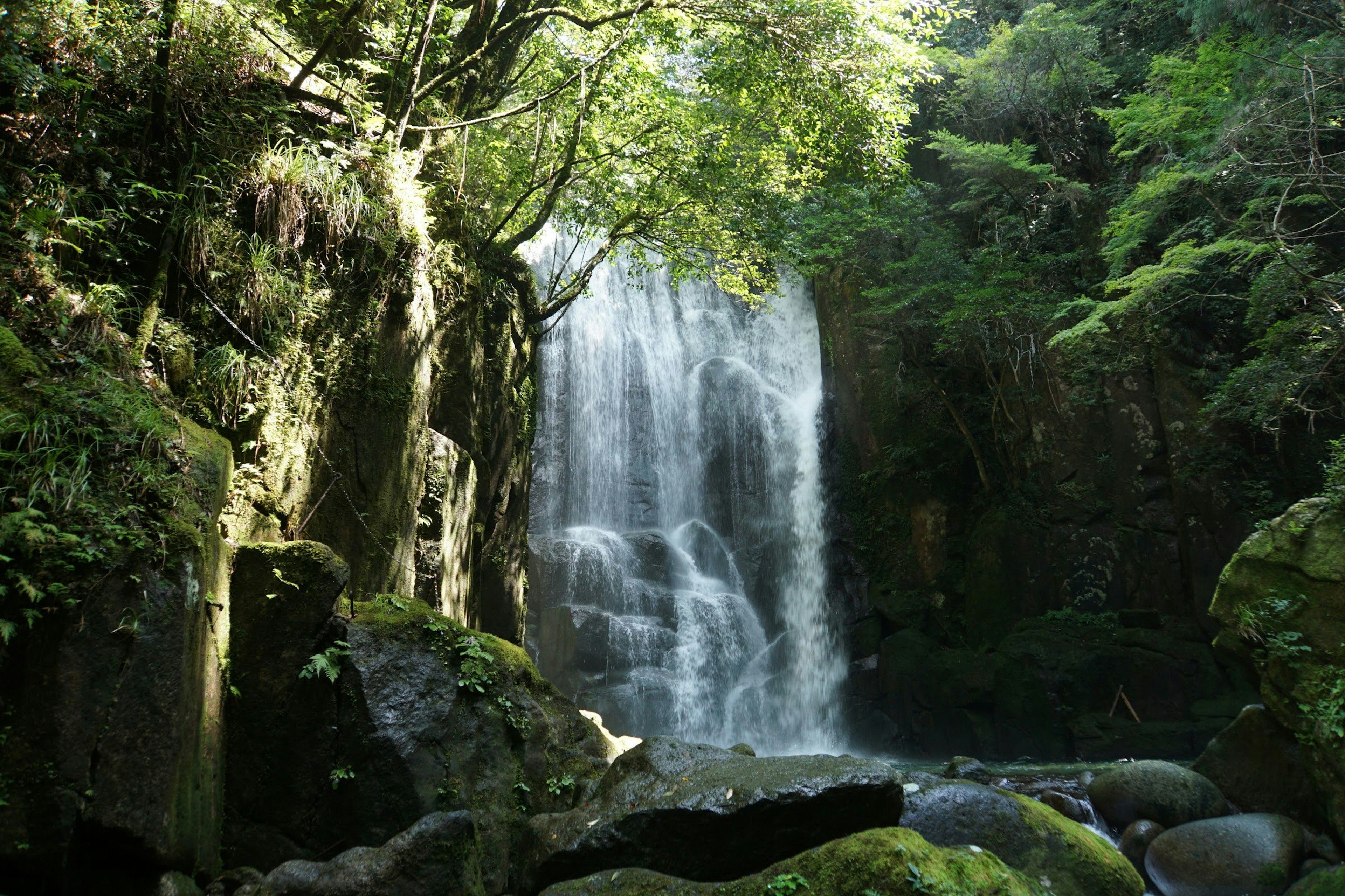 Air terjun tenang mengalir melalui pepohonan yang rimbun