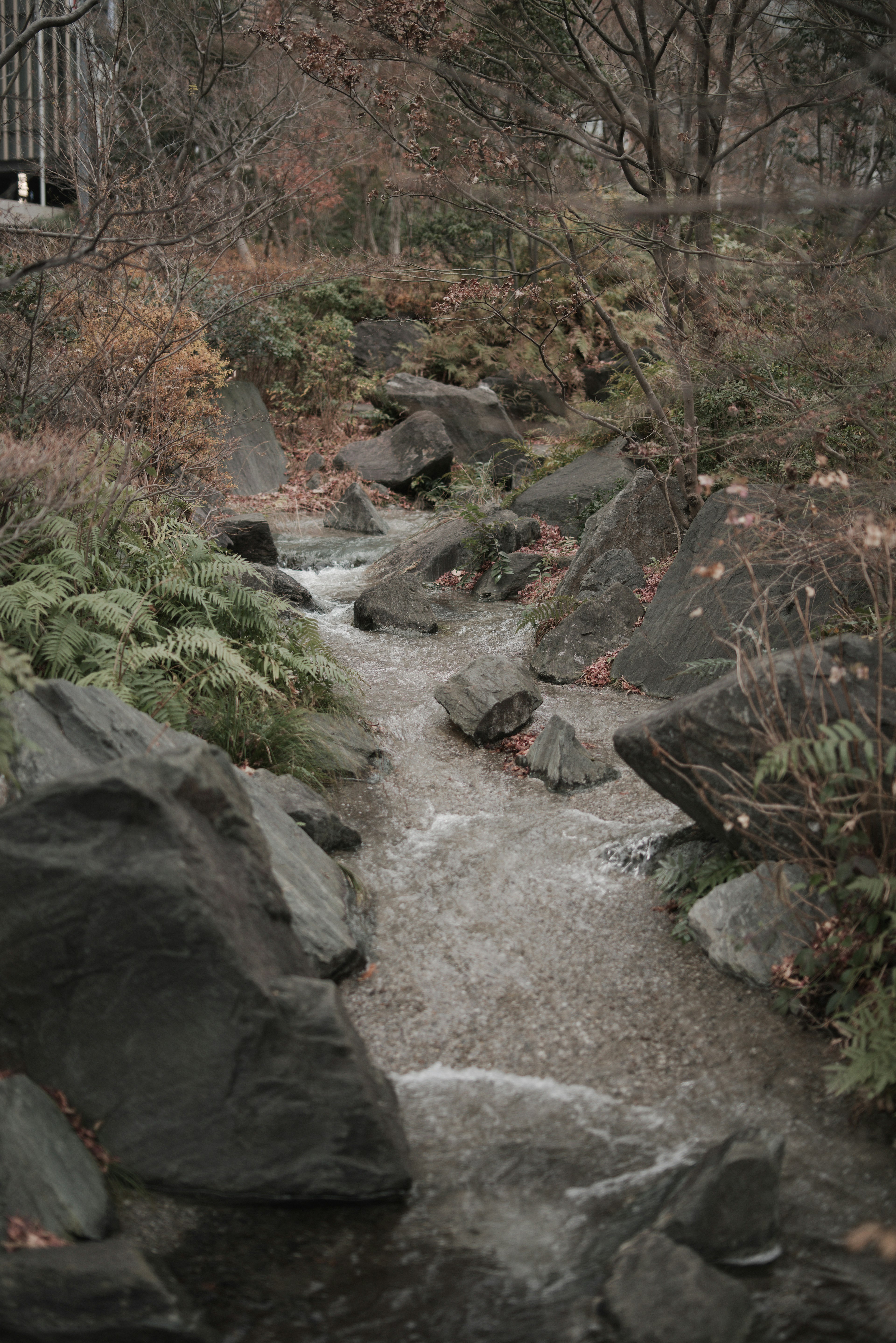 秋天的溪流穿过岩石和树叶