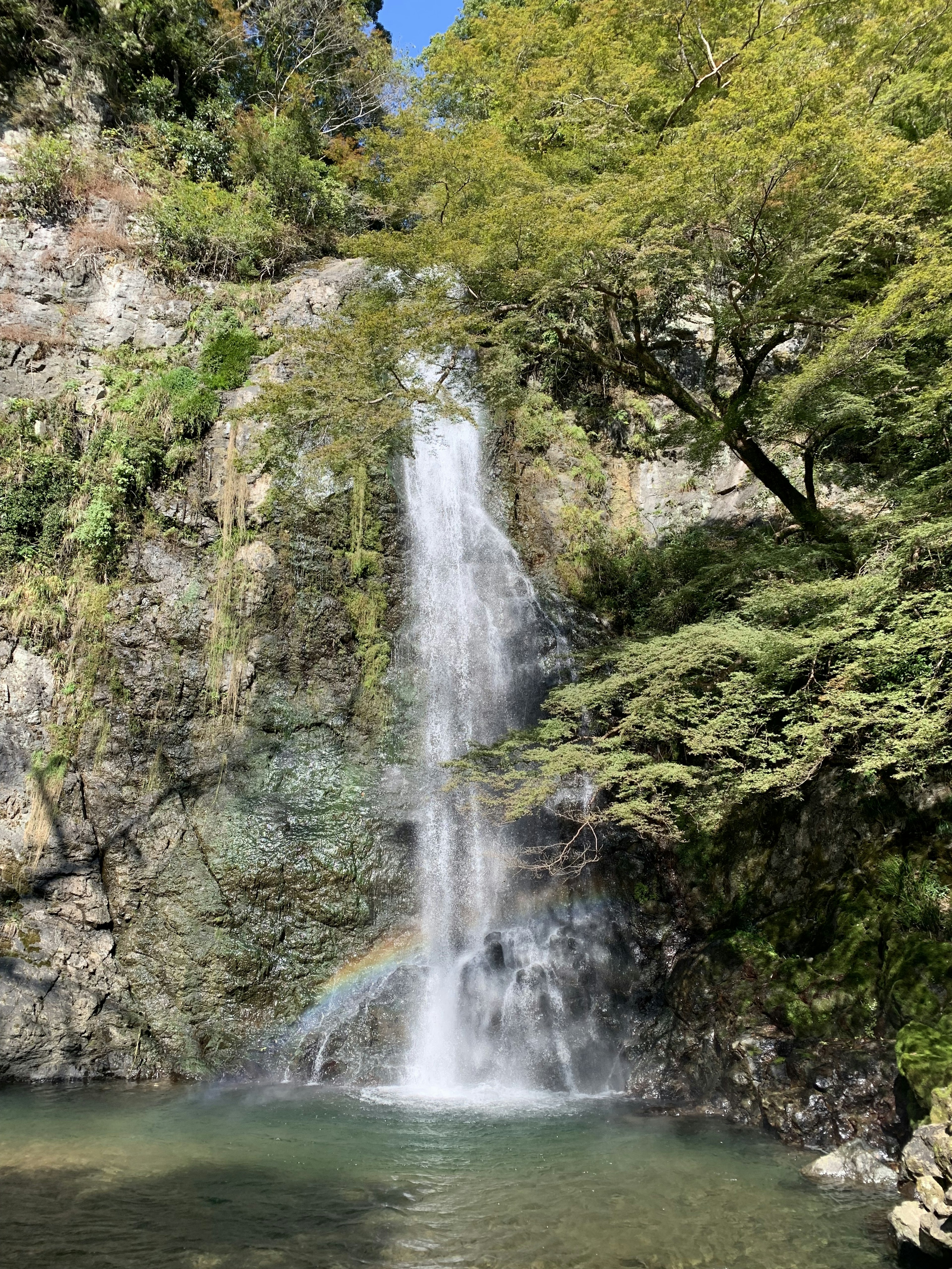 美丽的瀑布在郁郁葱葱的绿树中流淌