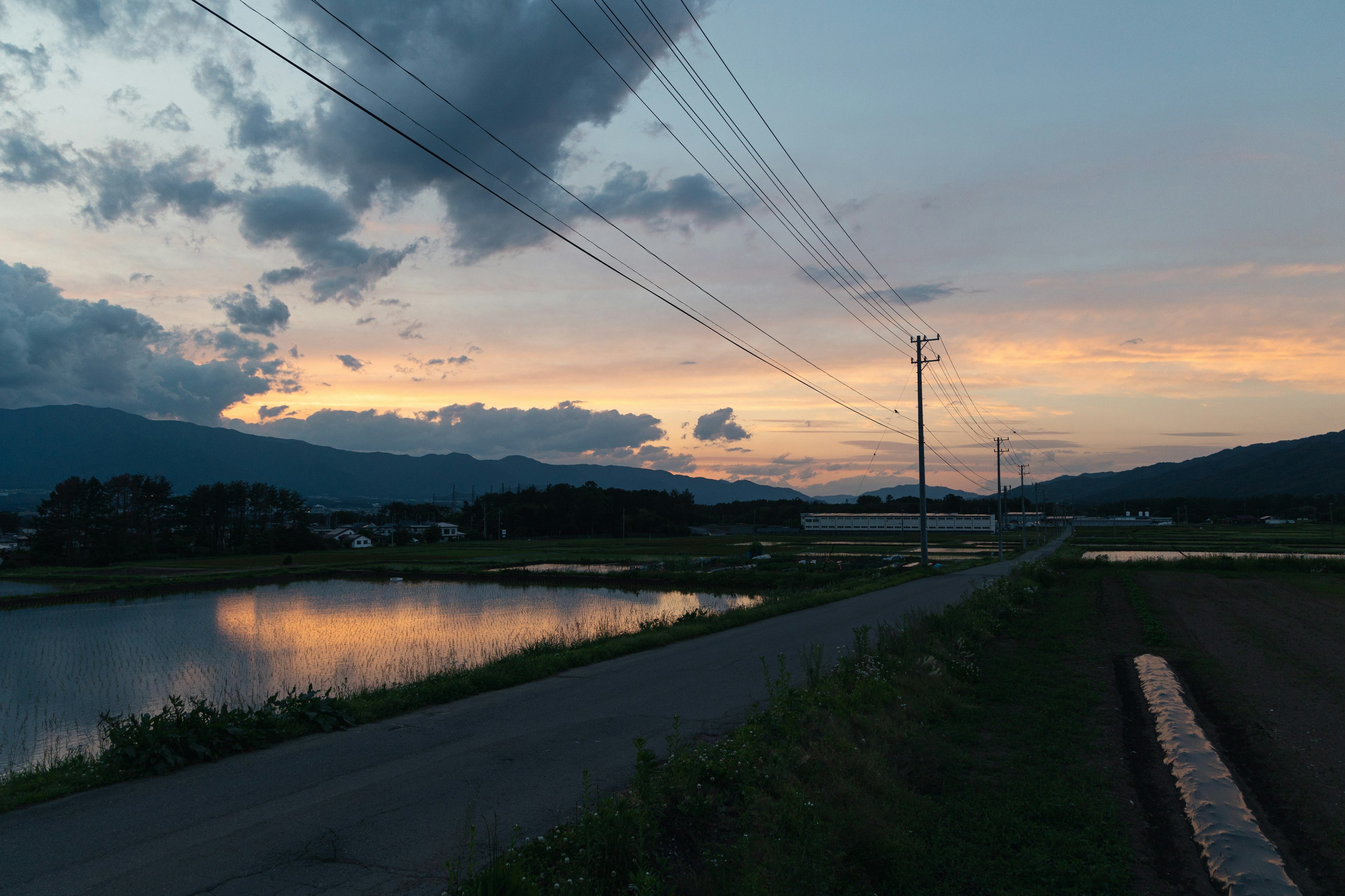 夕暮れの田舎道と水田の風景