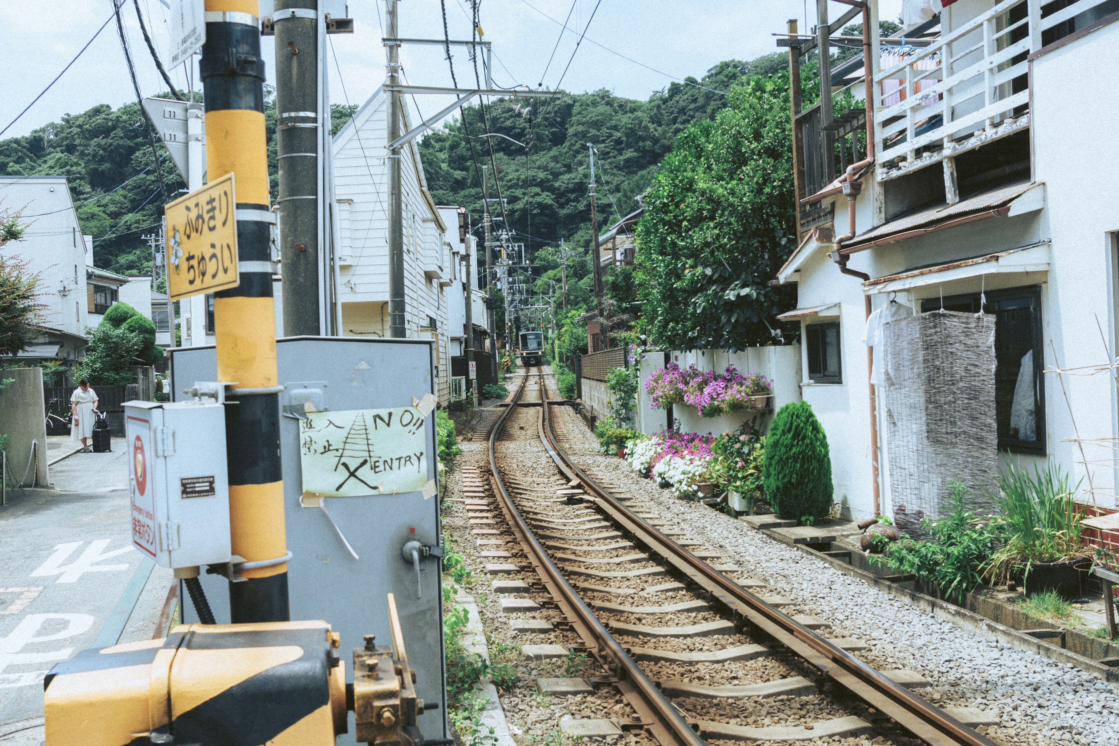 静かな住宅街を通る鉄道の風景 緑豊かな山々と花が咲く道が特徴