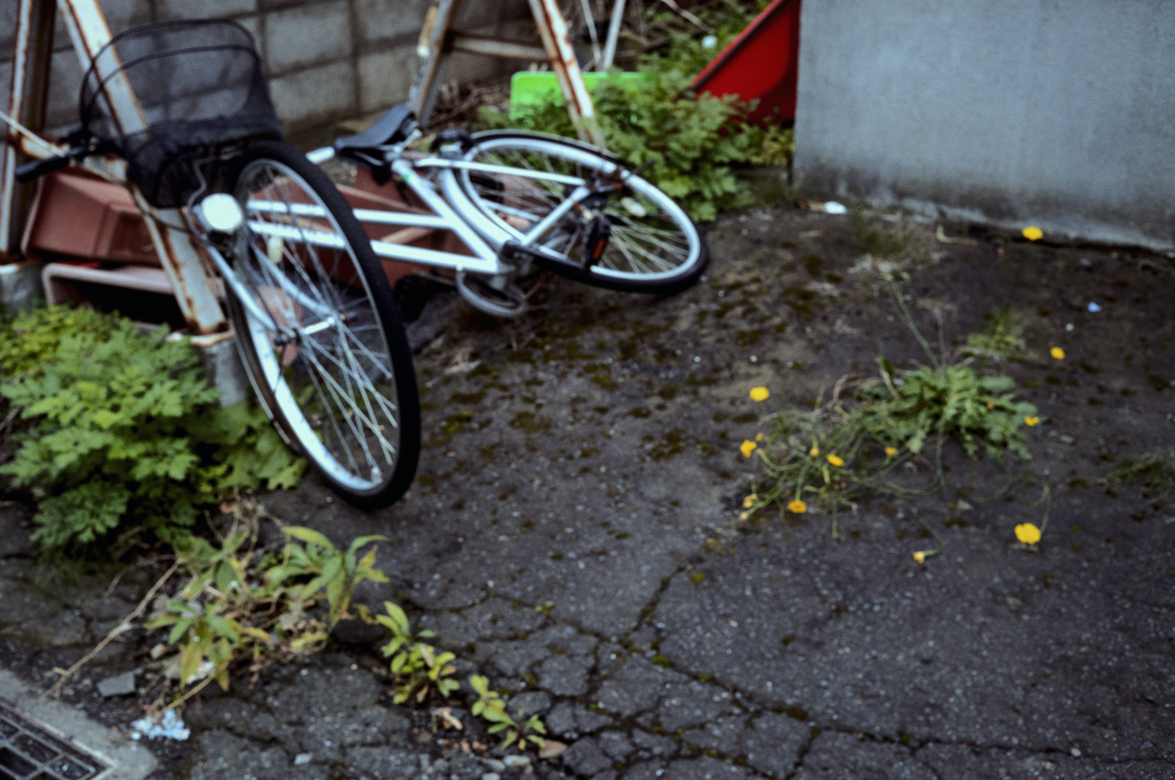 Bicicletta abbandonata su pavimentazione screpolata circondata da erbacce