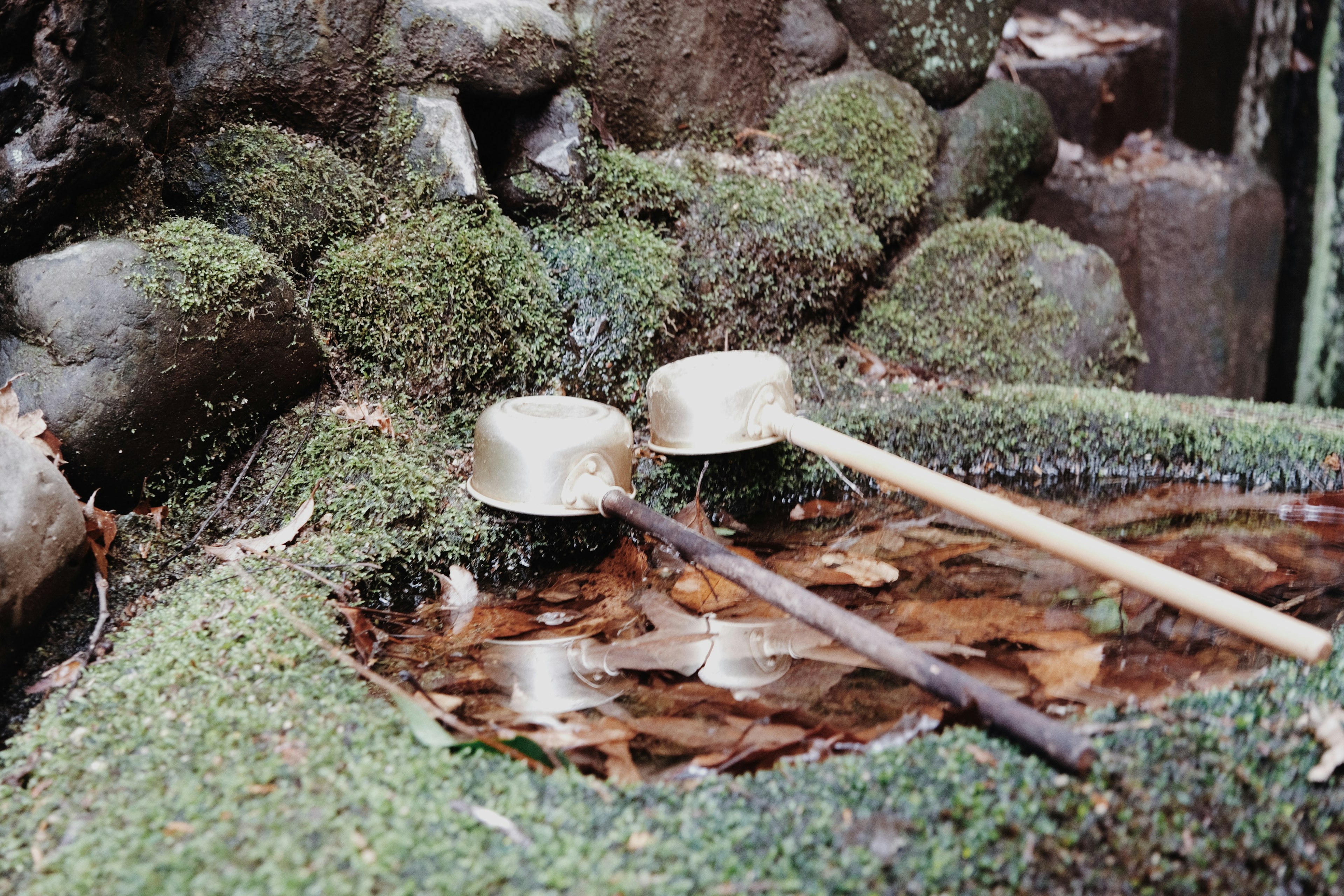 Un cuenco lleno de agua rodeado de piedras cubiertas de musgo y una cuchara de madera