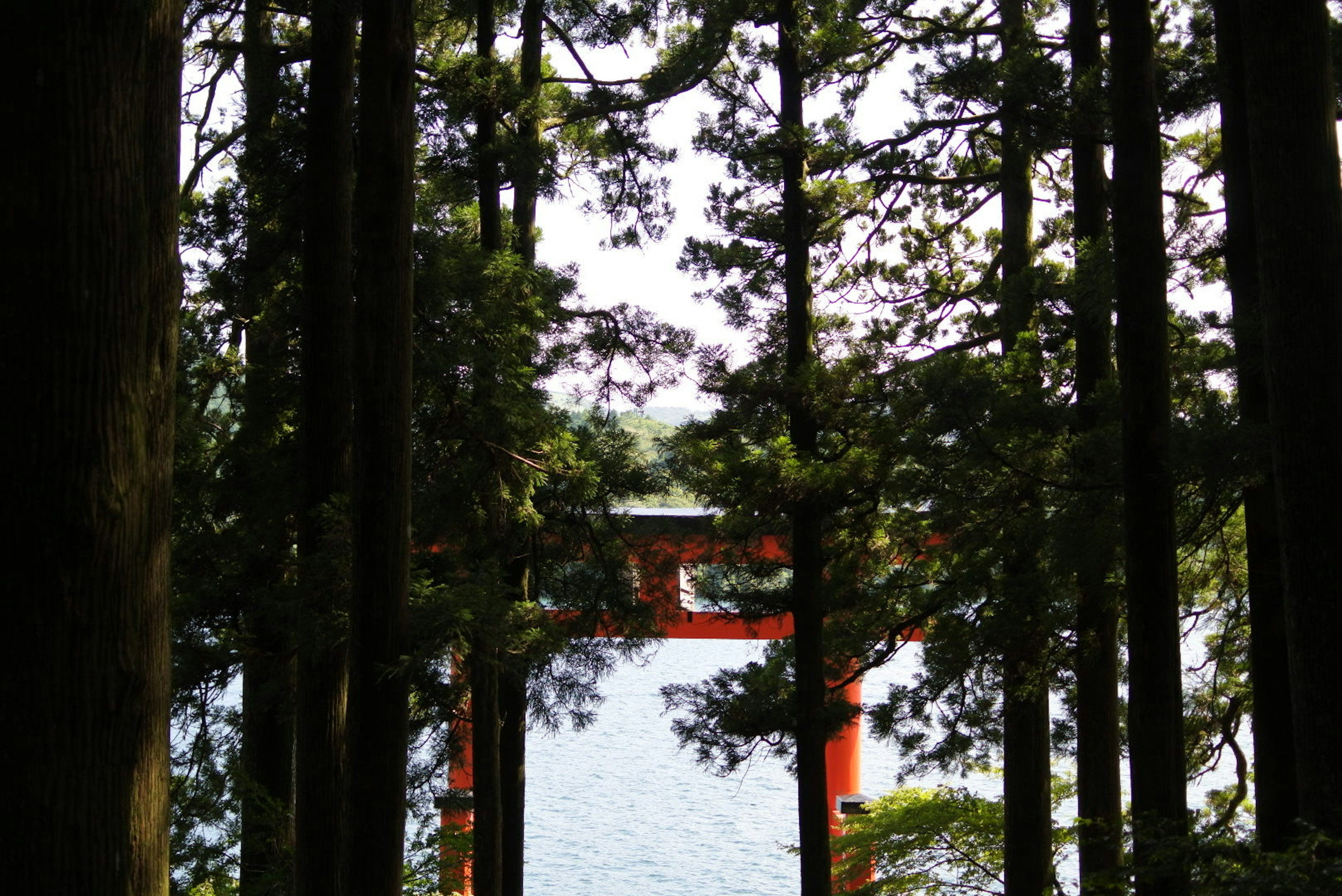 A view of a red torii gate through trees with water in the background