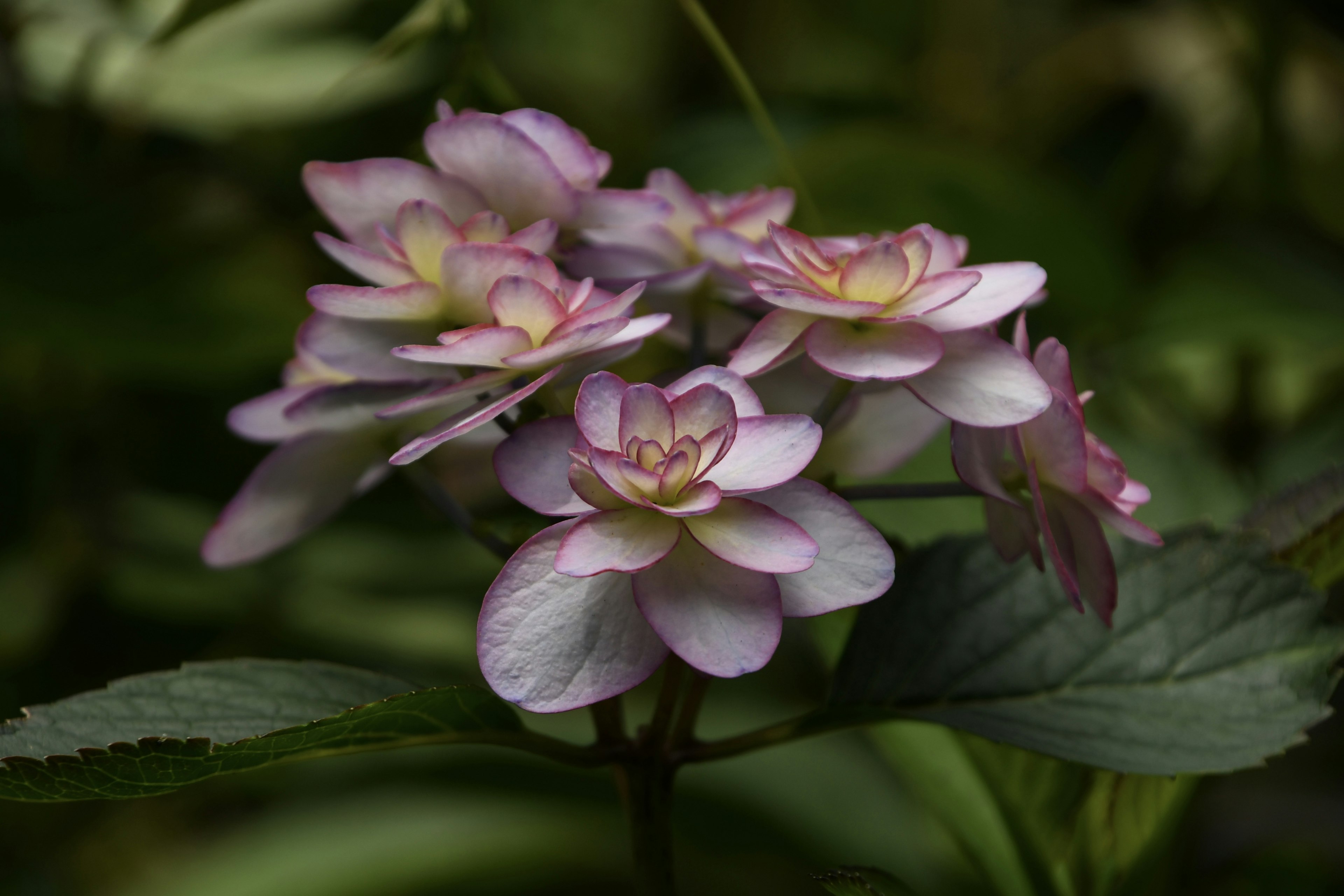 淡い紫色の花が集まった美しいブーケ