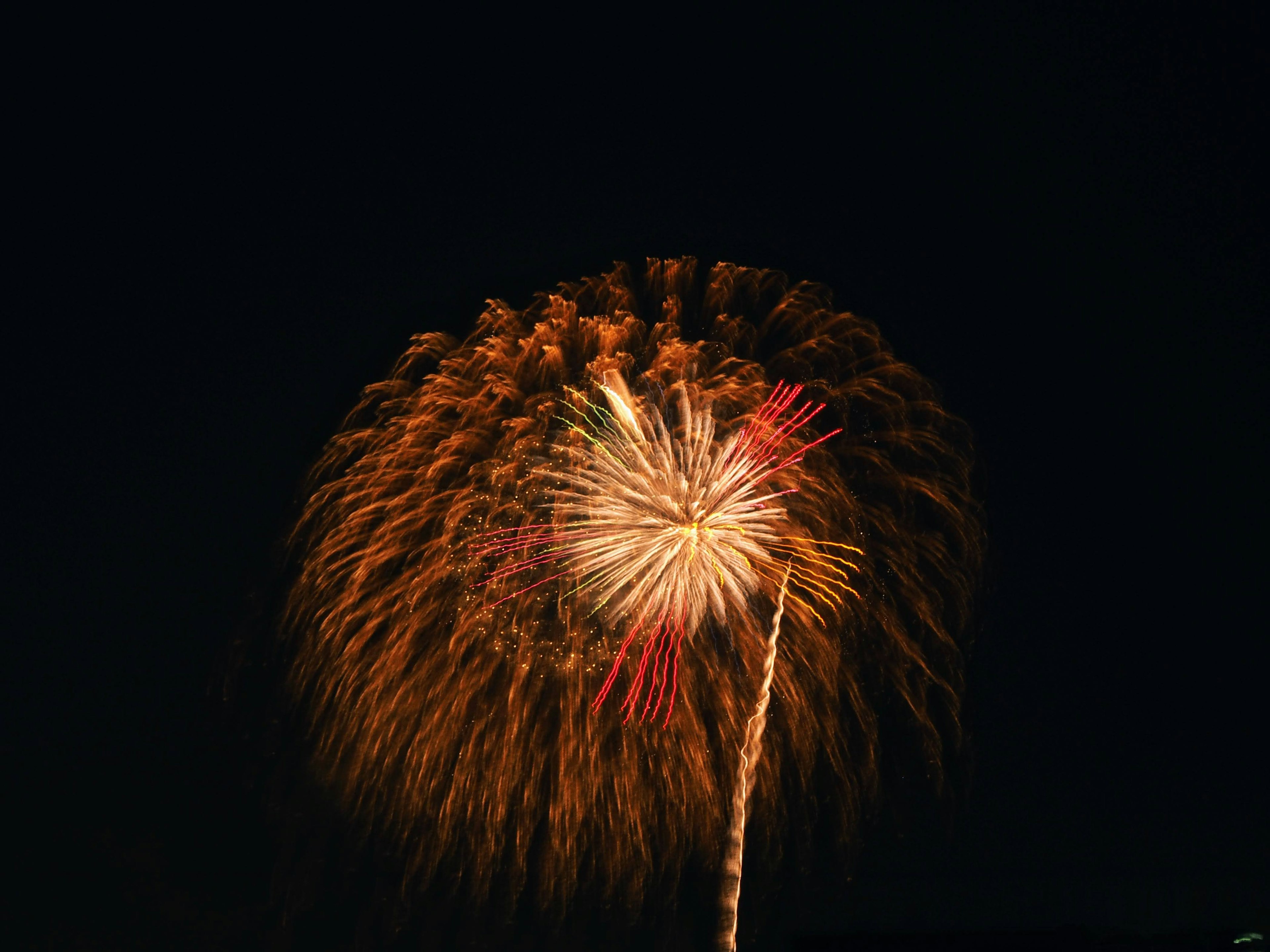 Fuochi d'artificio colorati che esplodono nel cielo notturno