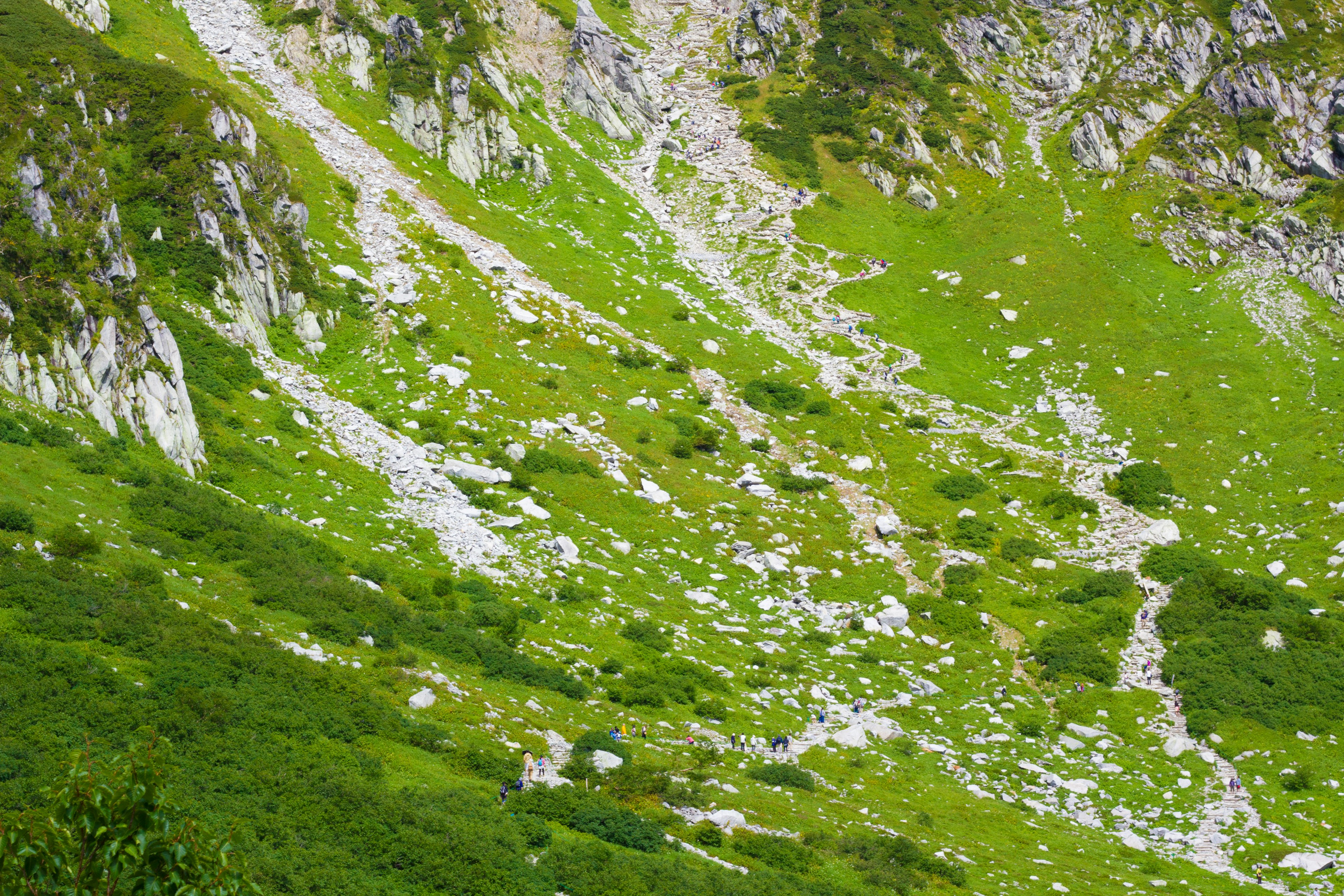 Ladera de montaña con hierba verde y rocas dispersas