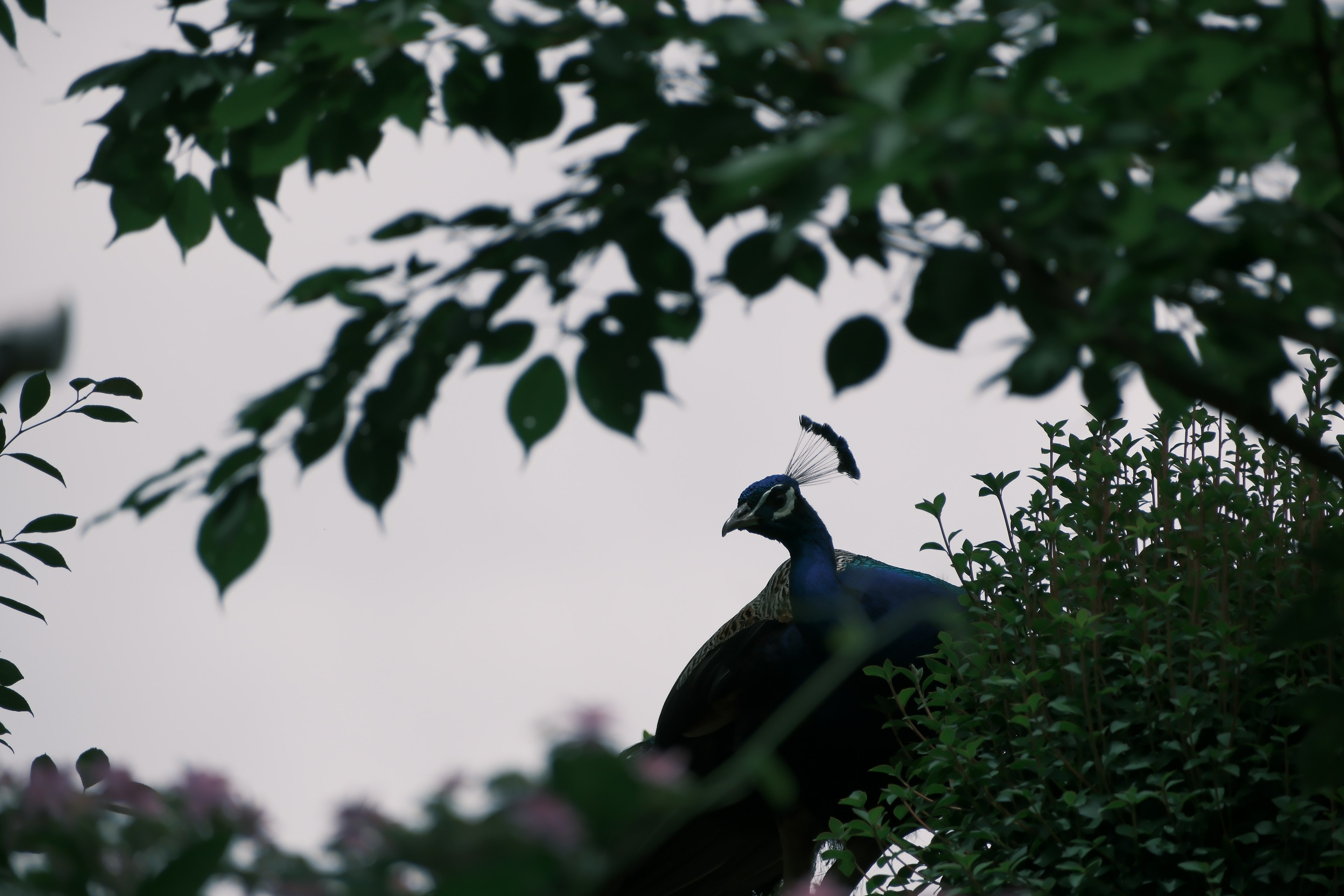 photo-YRskHR1x09VH8bjaJL9L-image