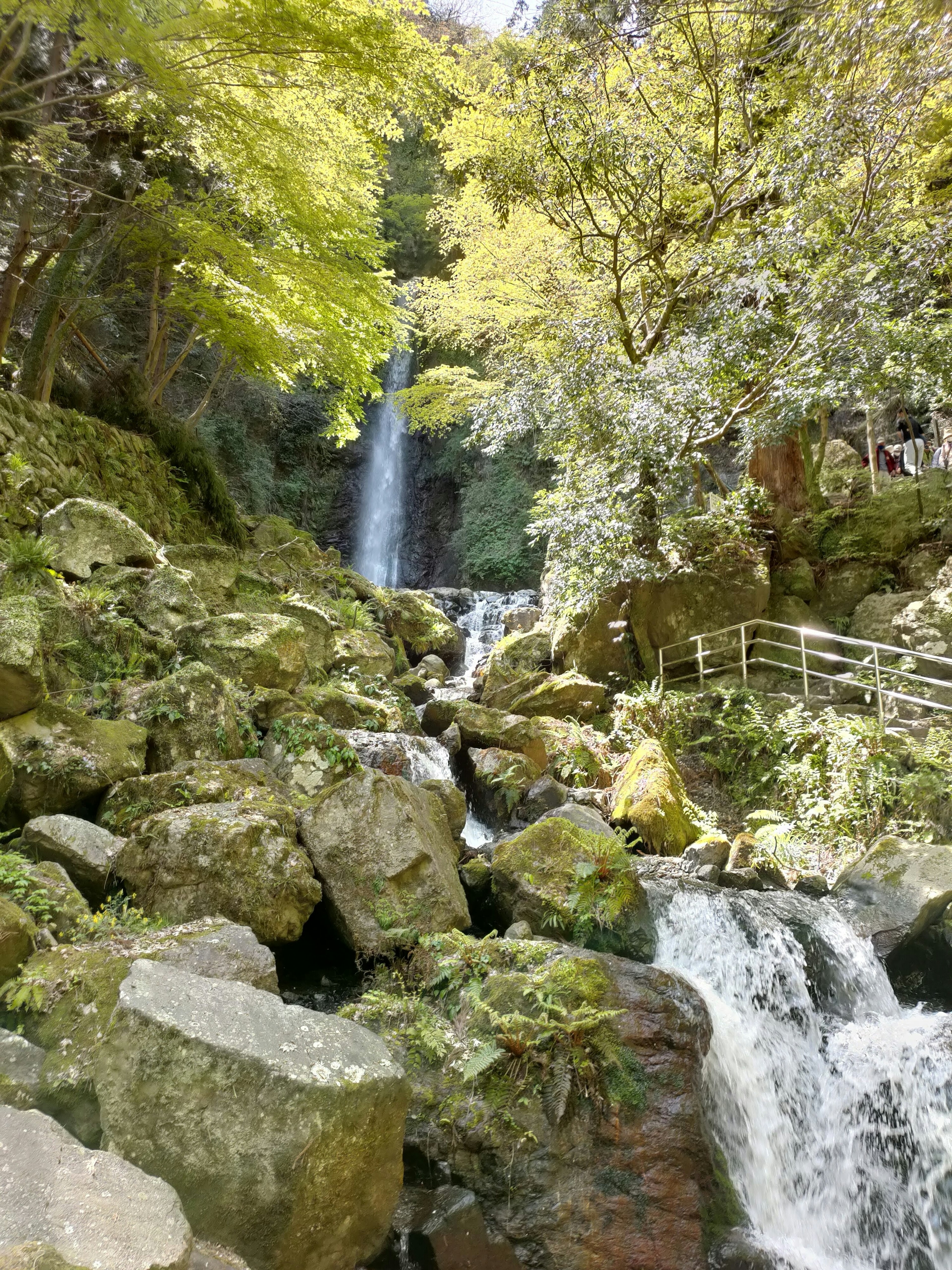 Cascade d'eau à travers des rochers entourée d'arbres verts