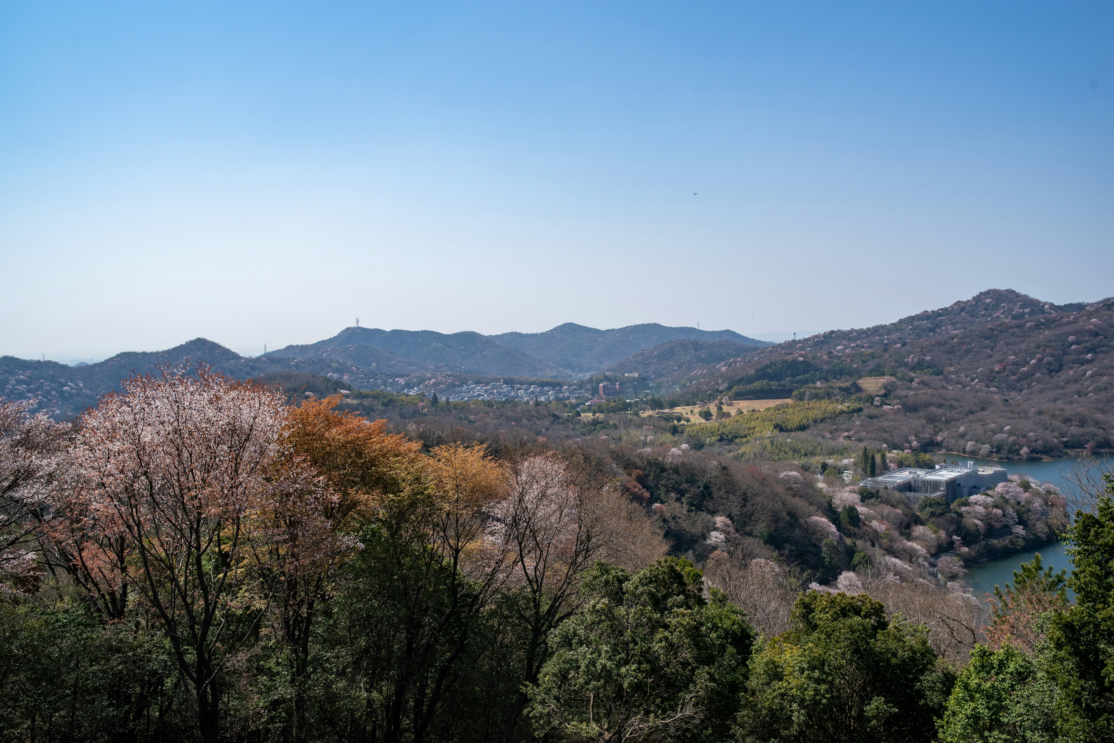 青空の下の美しい山々と緑の木々、秋の色合いが見える風景