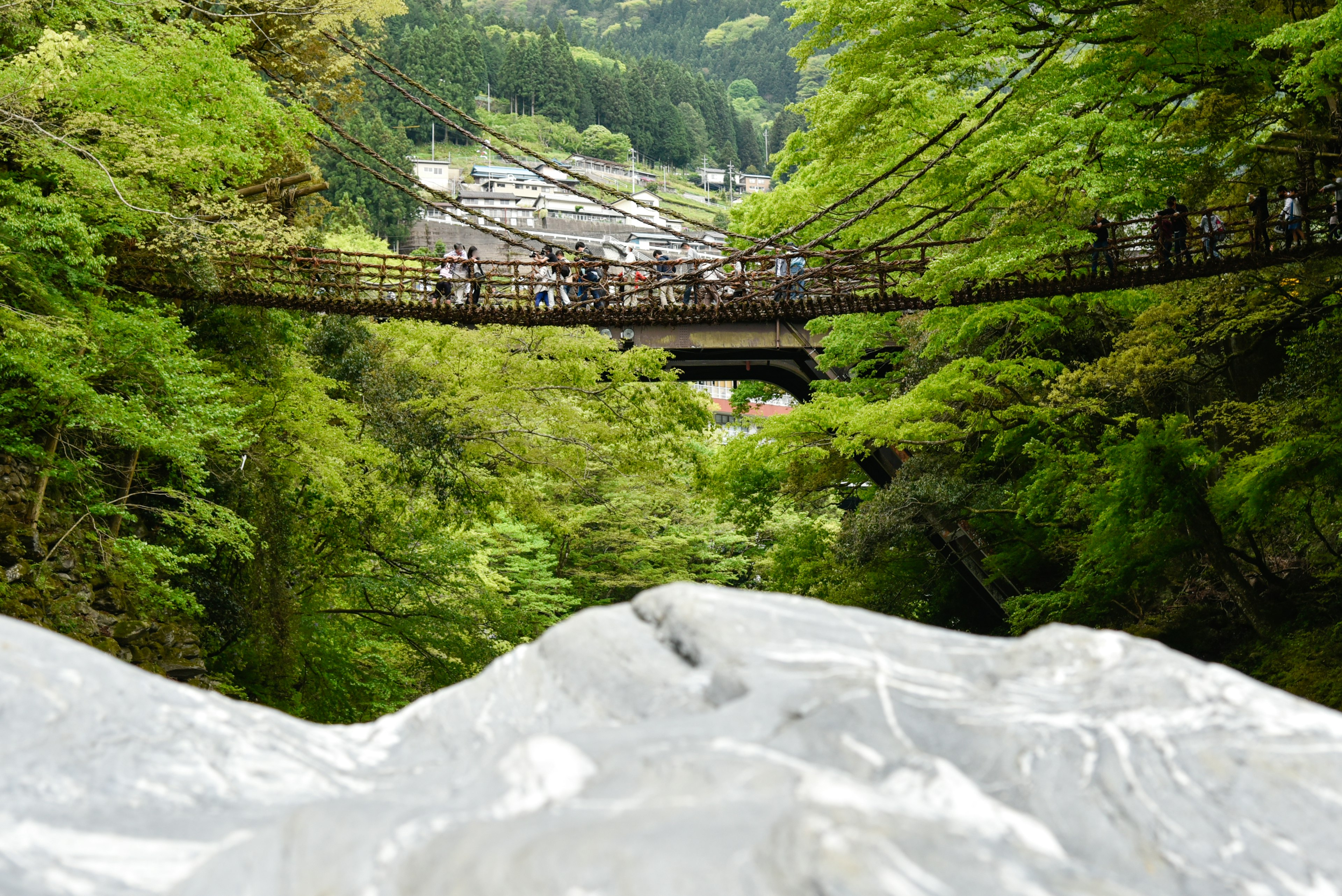 緑豊かな山間にかかる木製の吊り橋とその下に広がる滝の景色