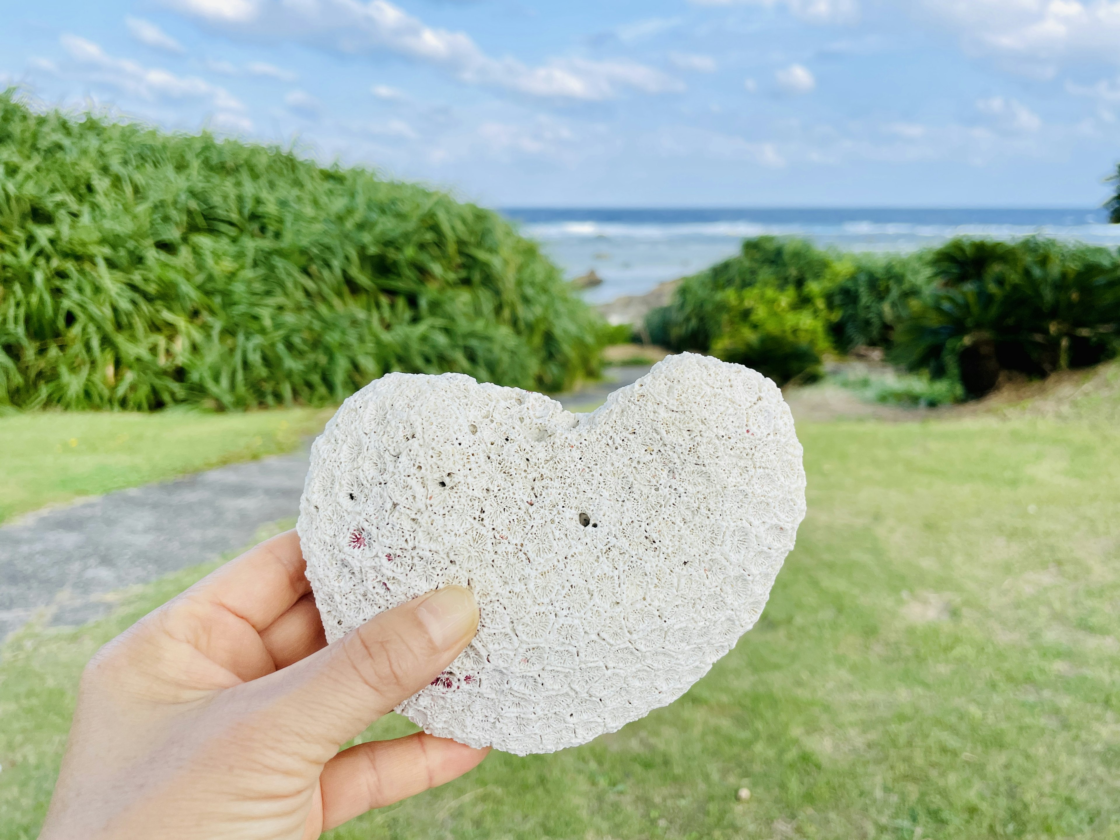 Hand holding a heart-shaped white sponge with ocean in the background