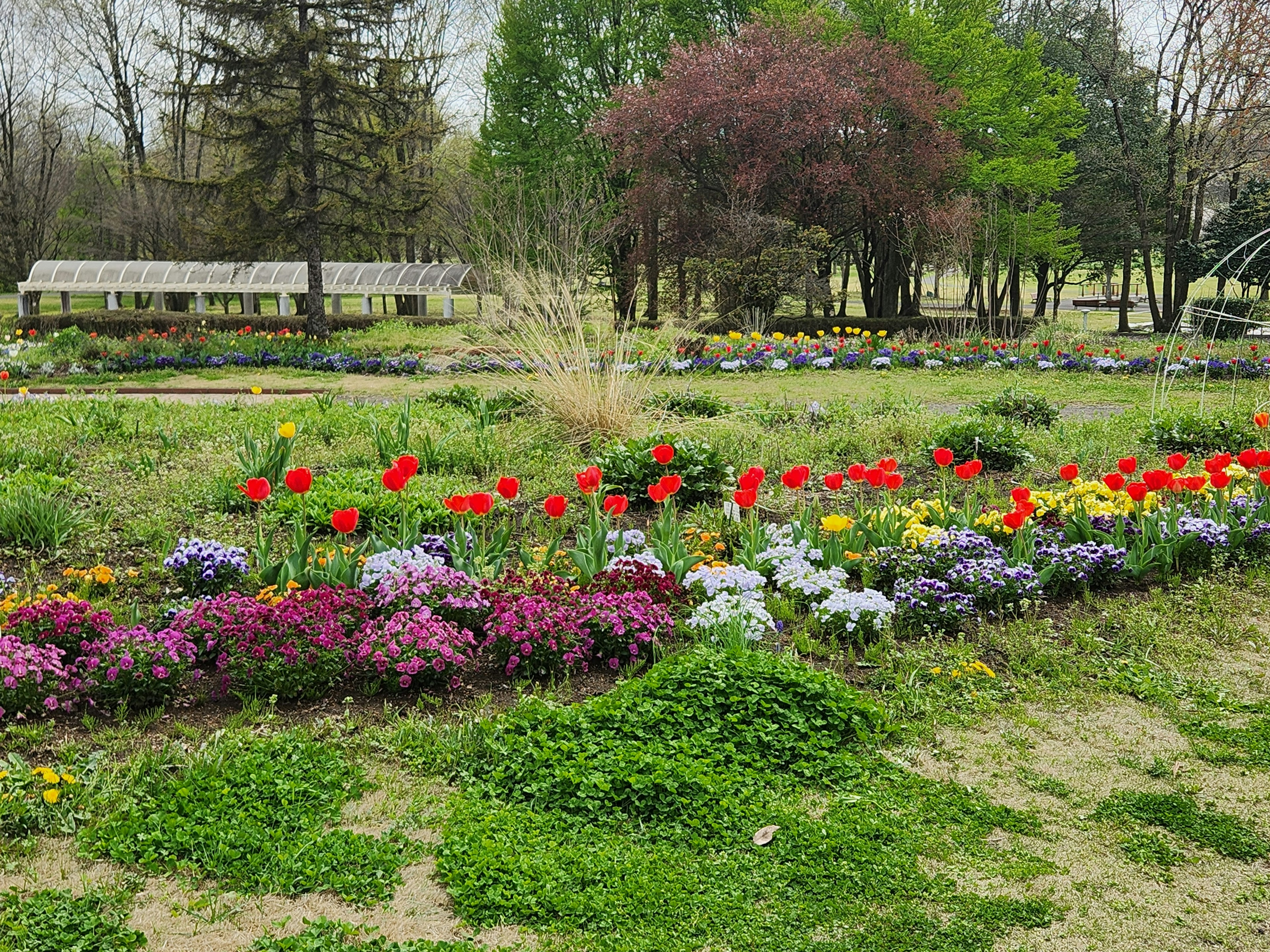 Paisaje de jardín colorido con flores en flor