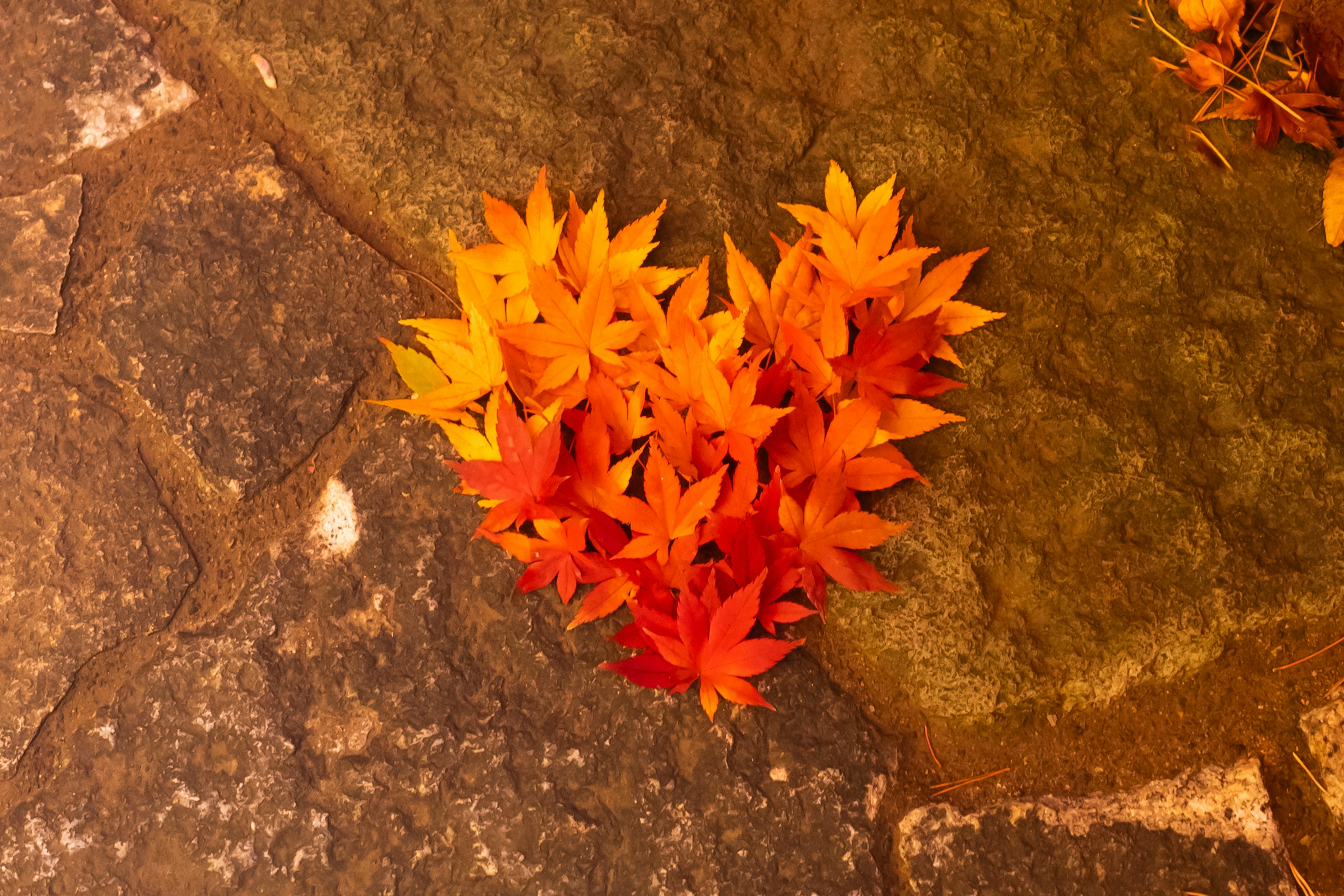 Arrangement en forme de cœur de feuilles rouges et orange sur une surface en pierre