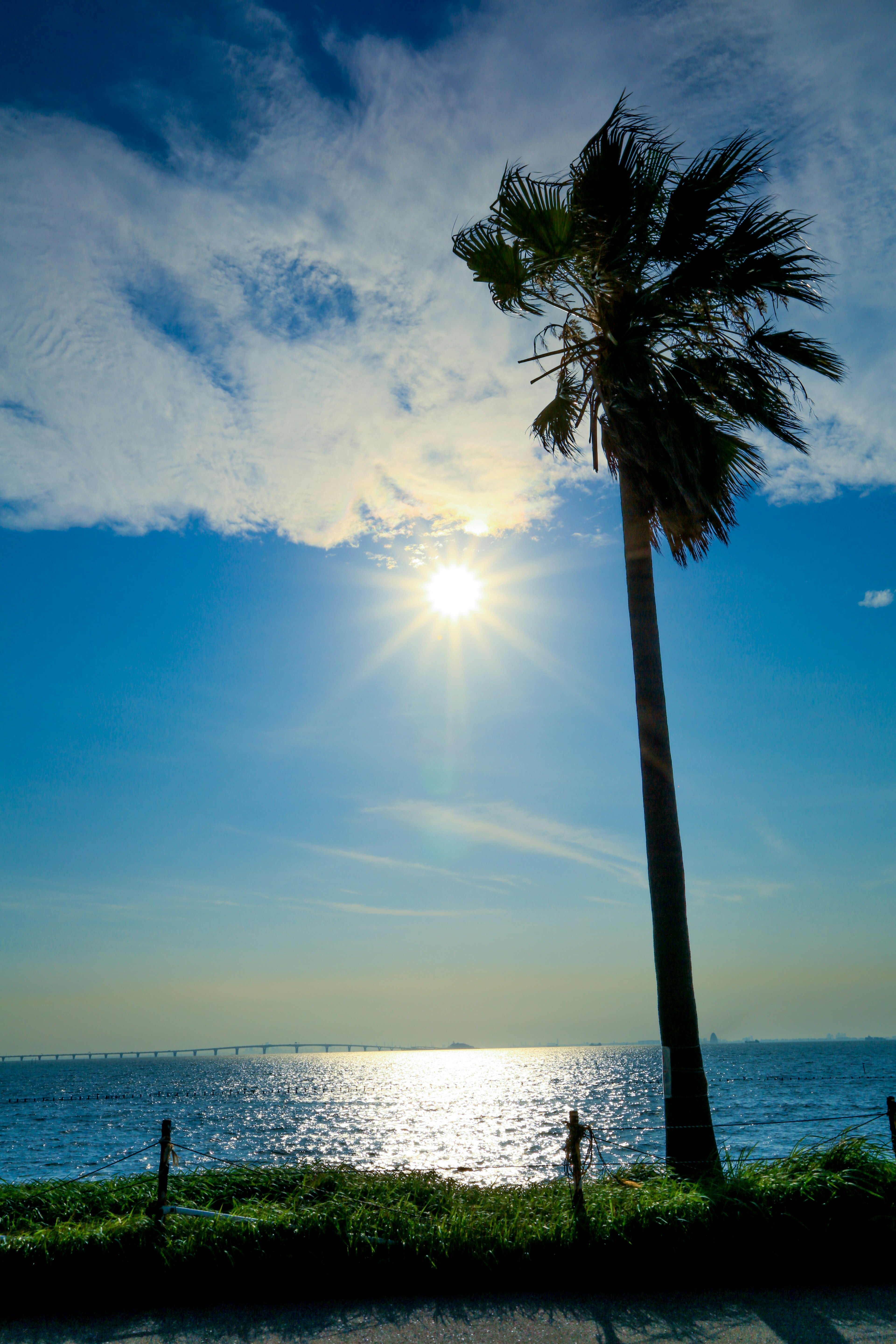 A palm tree silhouetted against a bright blue sky and shimmering ocean sun shining above