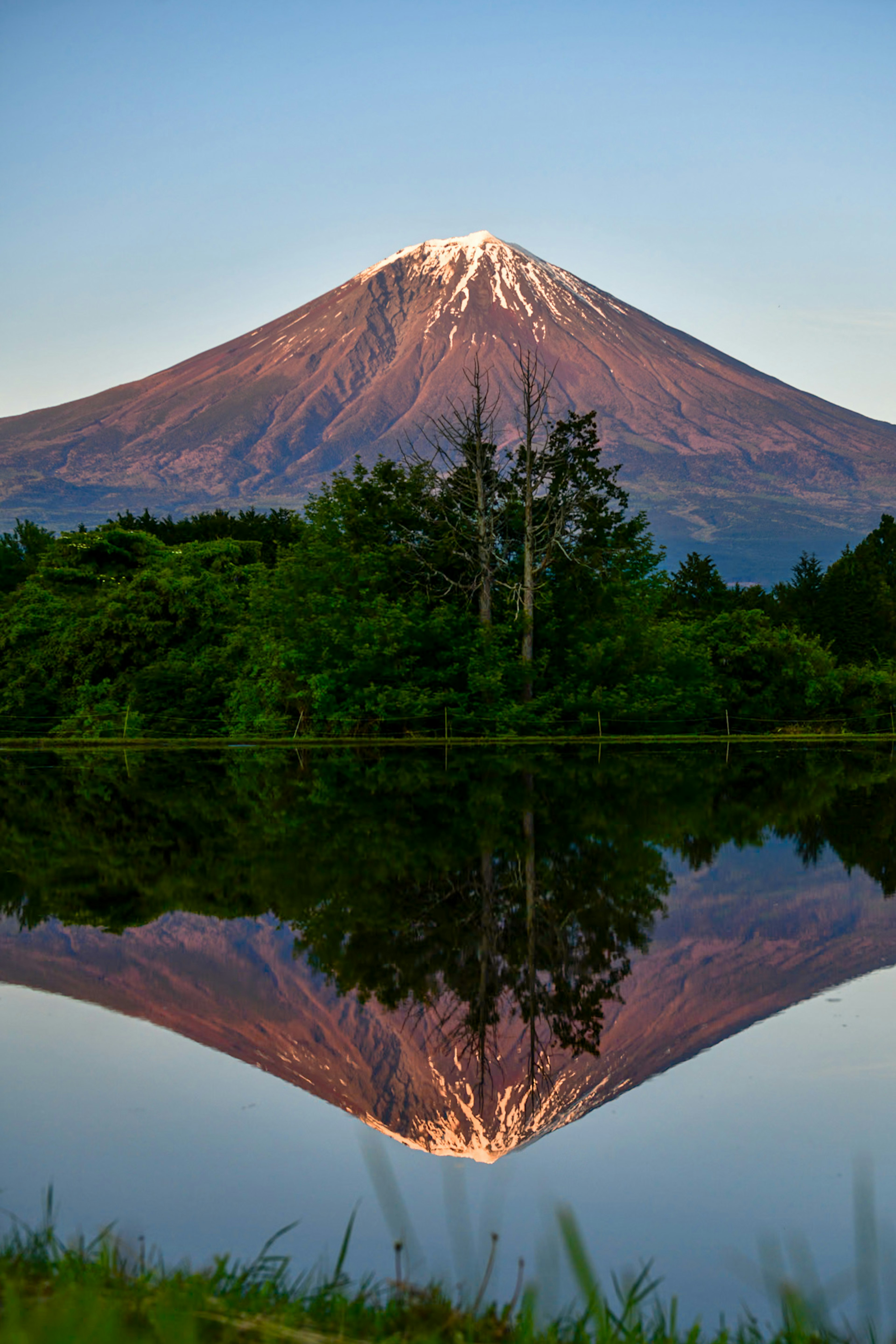 宁静池塘中映照的富士山景色，周围是郁郁葱葱的绿树