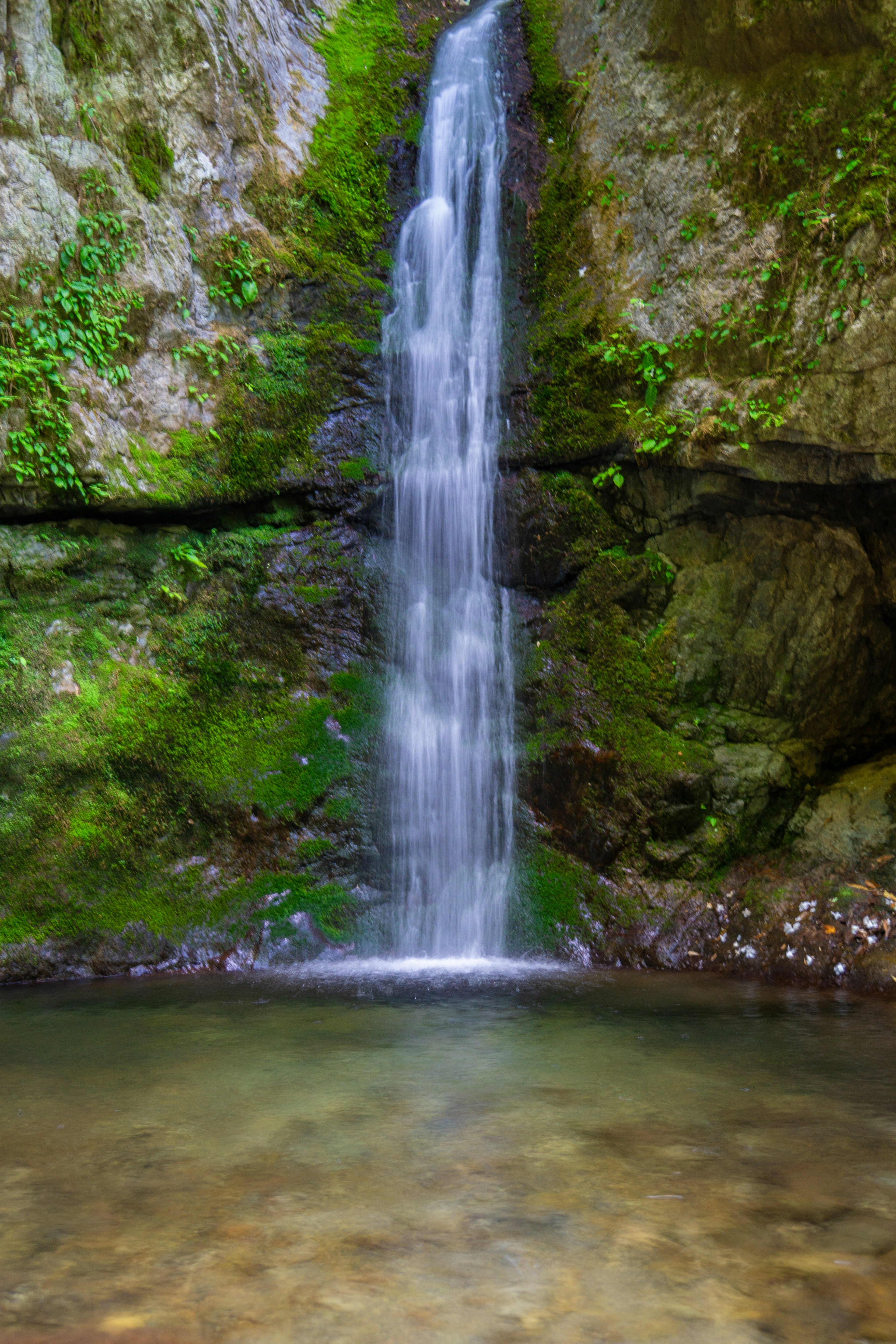 Schöner Wasserfall, der zwischen moosbedeckten Felsen fließt