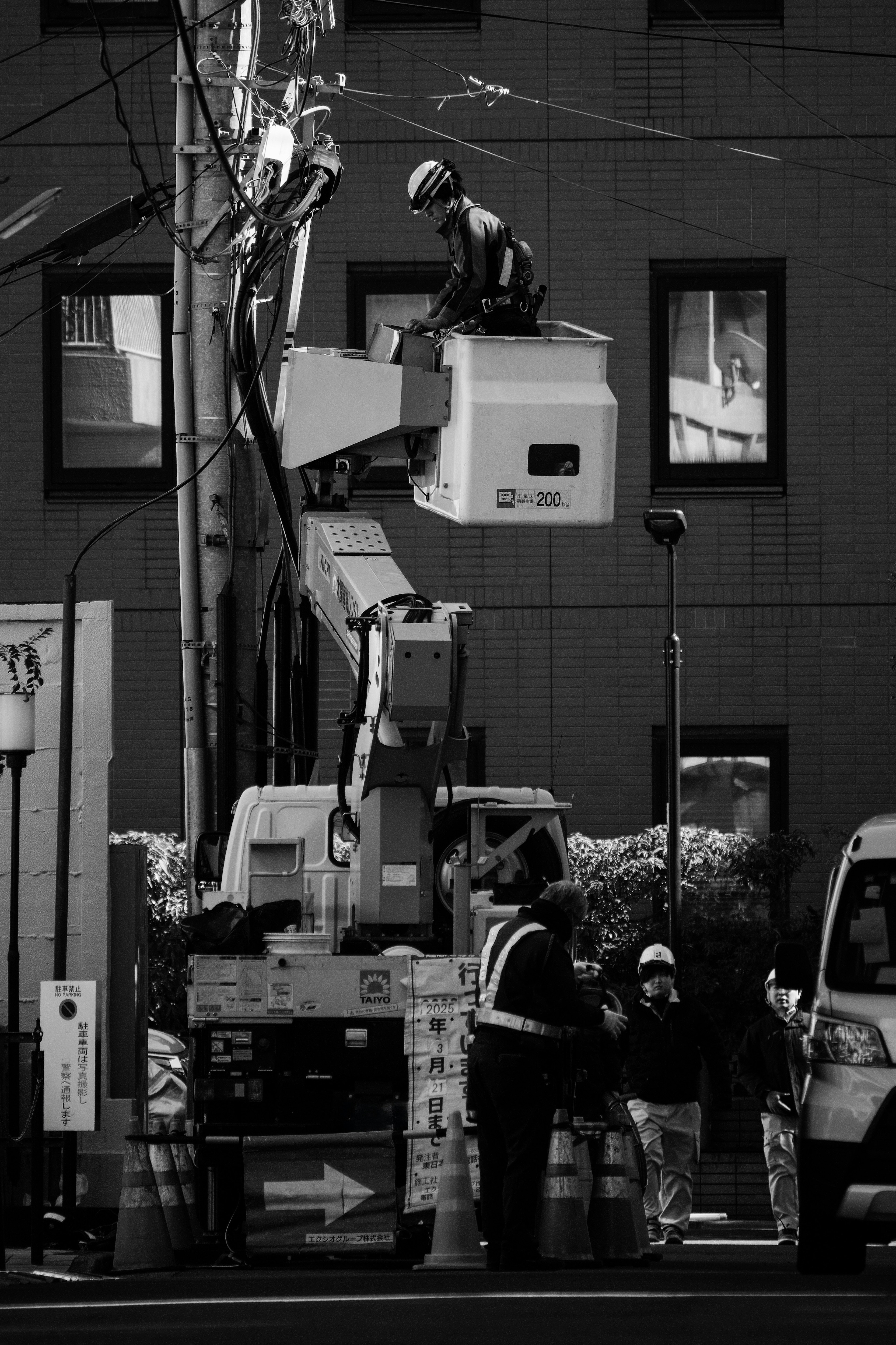 Travailleur utilisant un élévateur sur un poteau électrique dans une image en noir et blanc