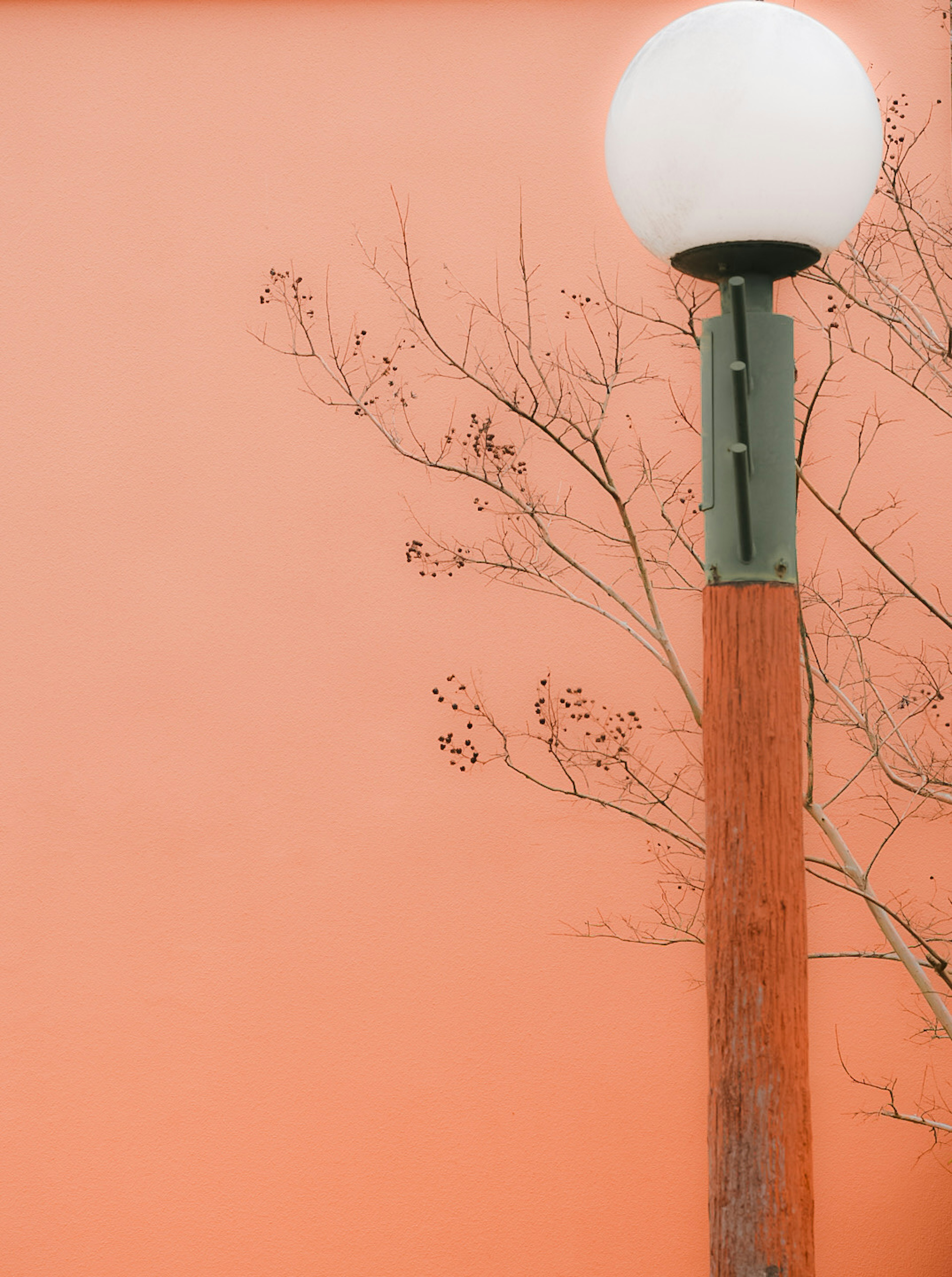 Una farola con luz blanca redonda frente a una pared naranja con ramas desnudas