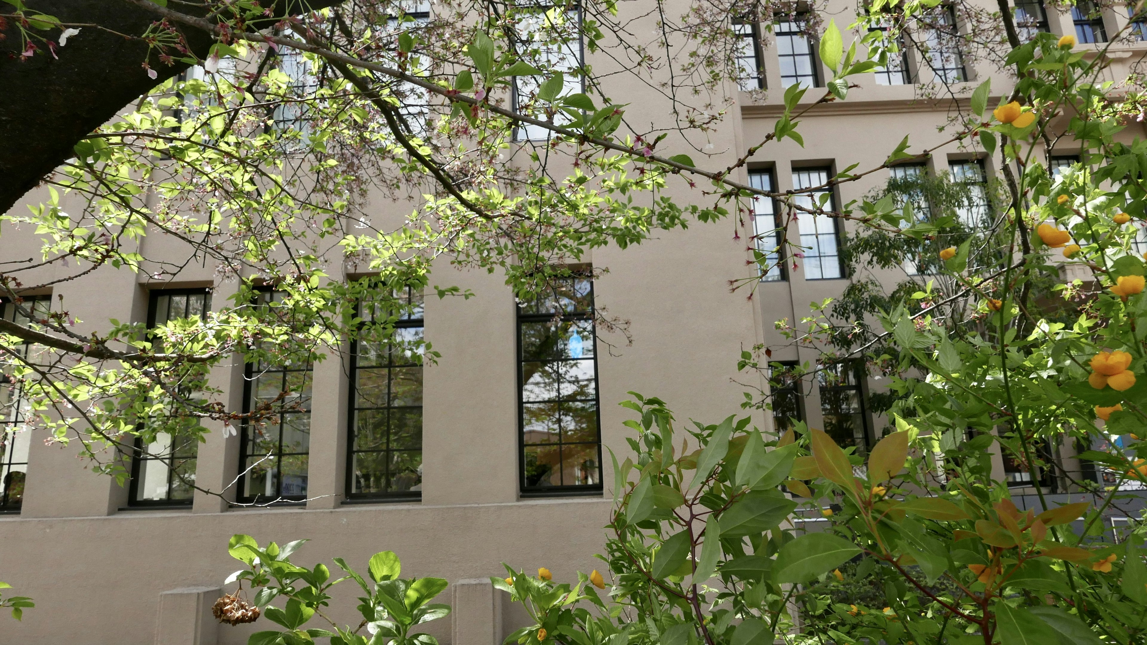 Modern building exterior surrounded by green leaves and flowers