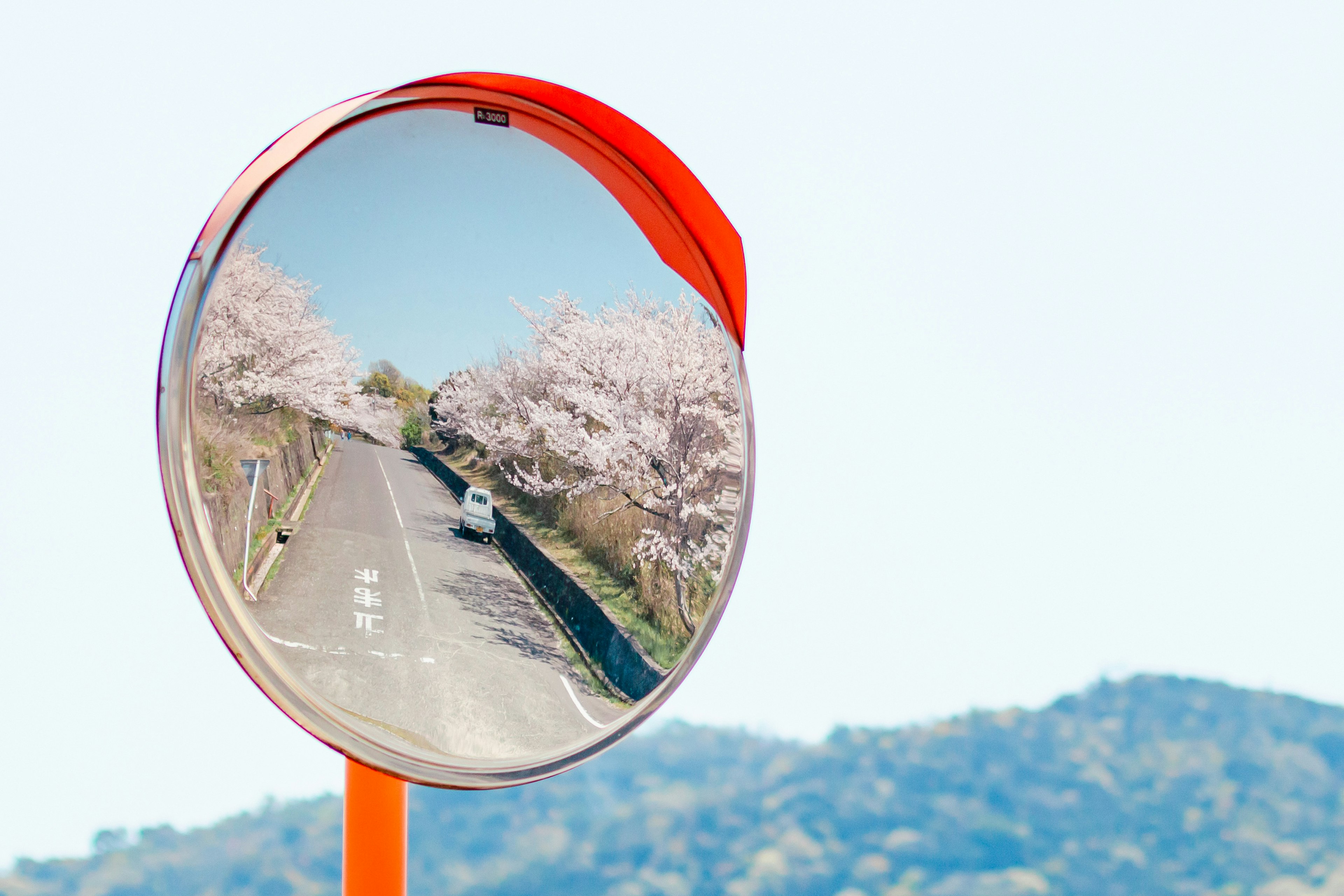 桜の木が並ぶ道を映す赤いミラーと山の風景