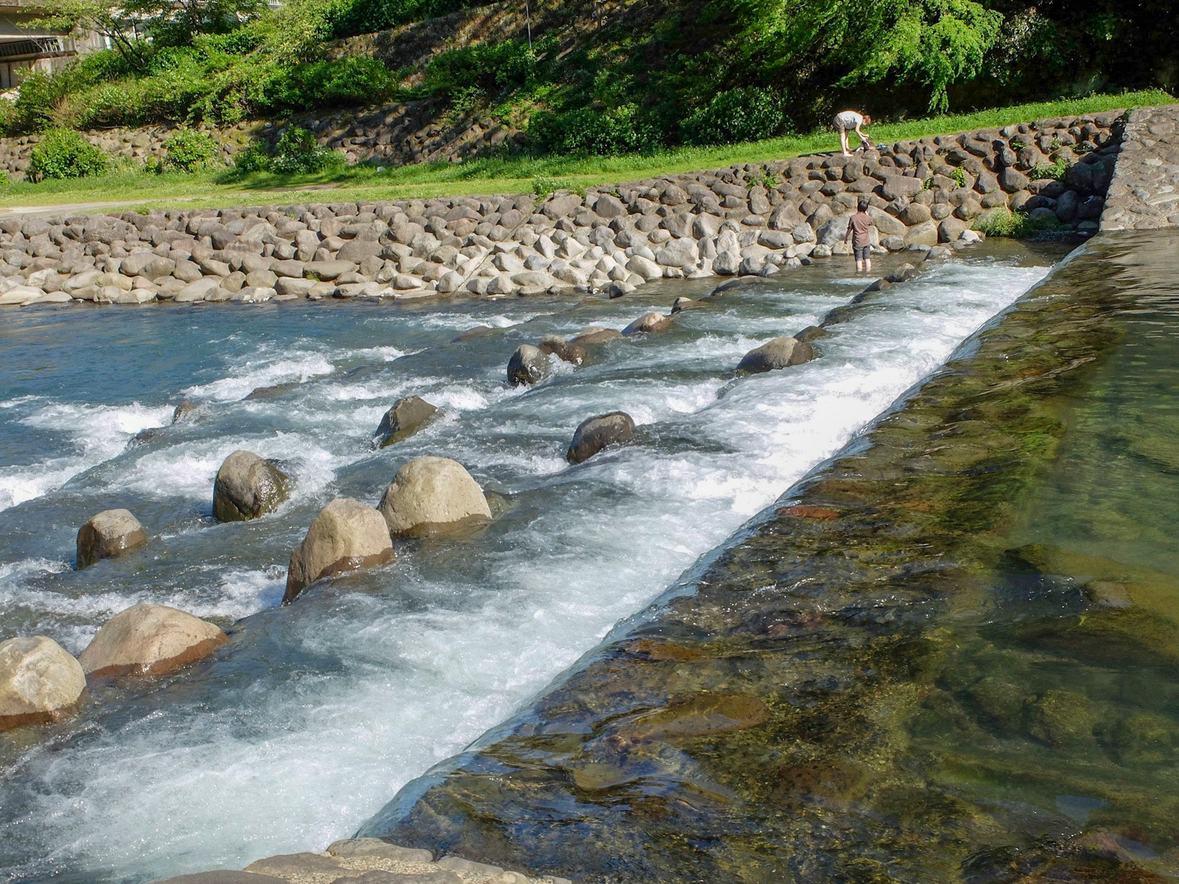 Una vista panoramica di un fiume con acqua che scorre e una diga in pietra circondata da vegetazione