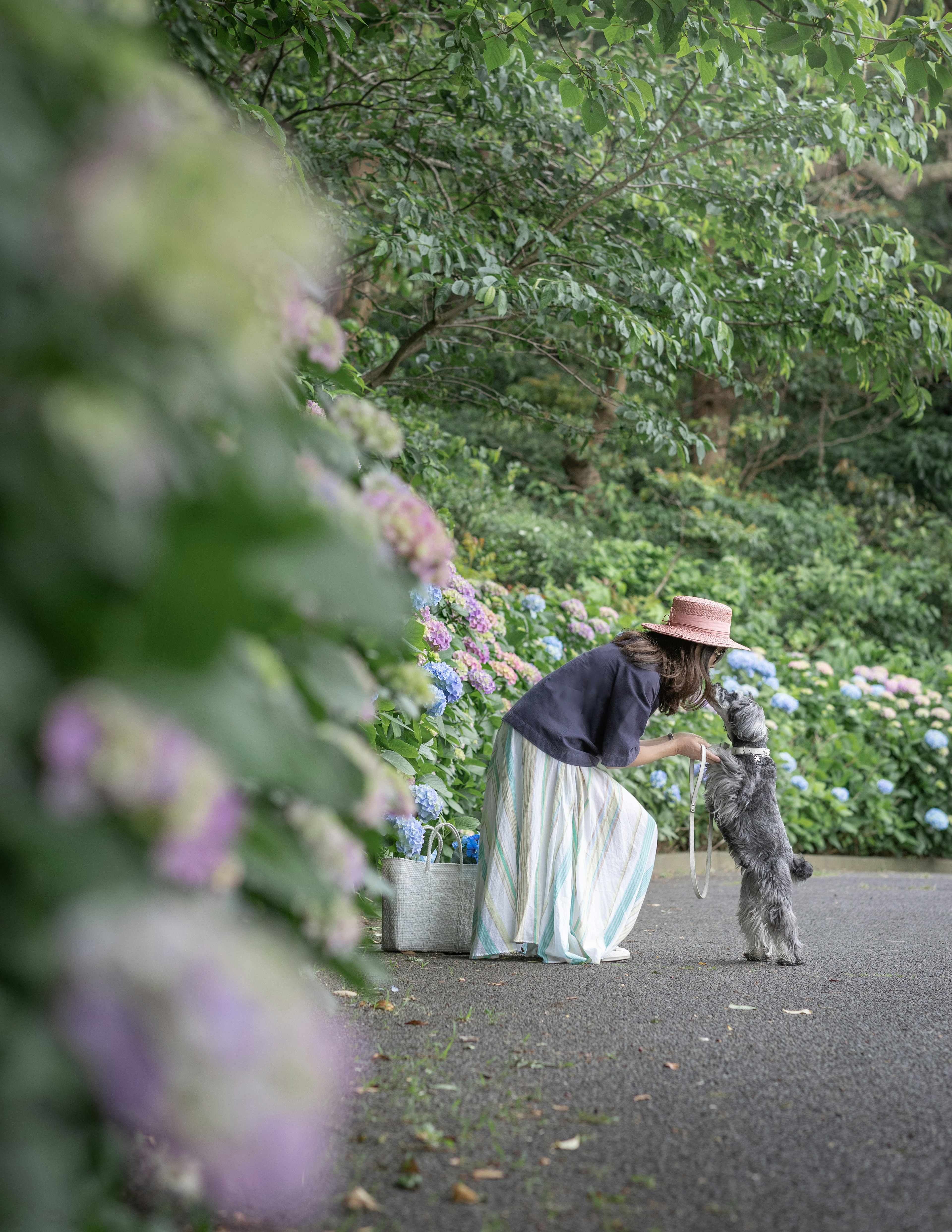 Eine Frau, die mit einem Hund interagiert, umgeben von bunten Blumen in einem Park