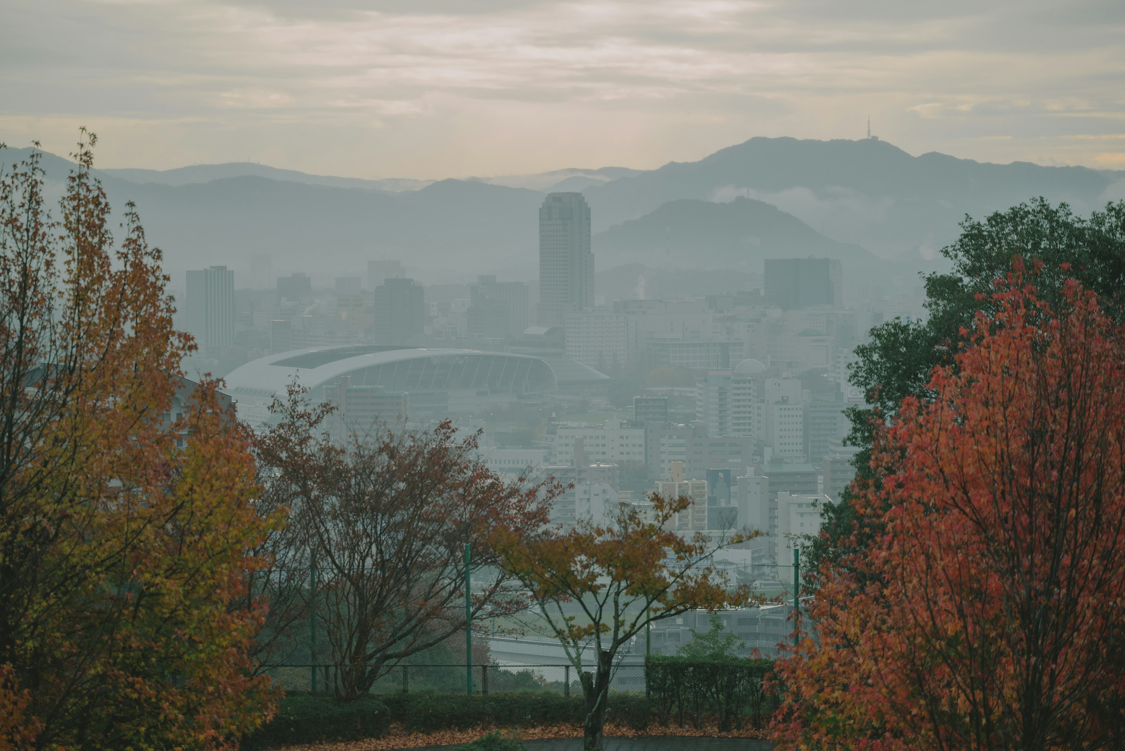 ทิวทัศน์เมืองที่มีหมอกและต้นไม้ฤดูใบไม้ร่วงที่มีสีสันสดใส