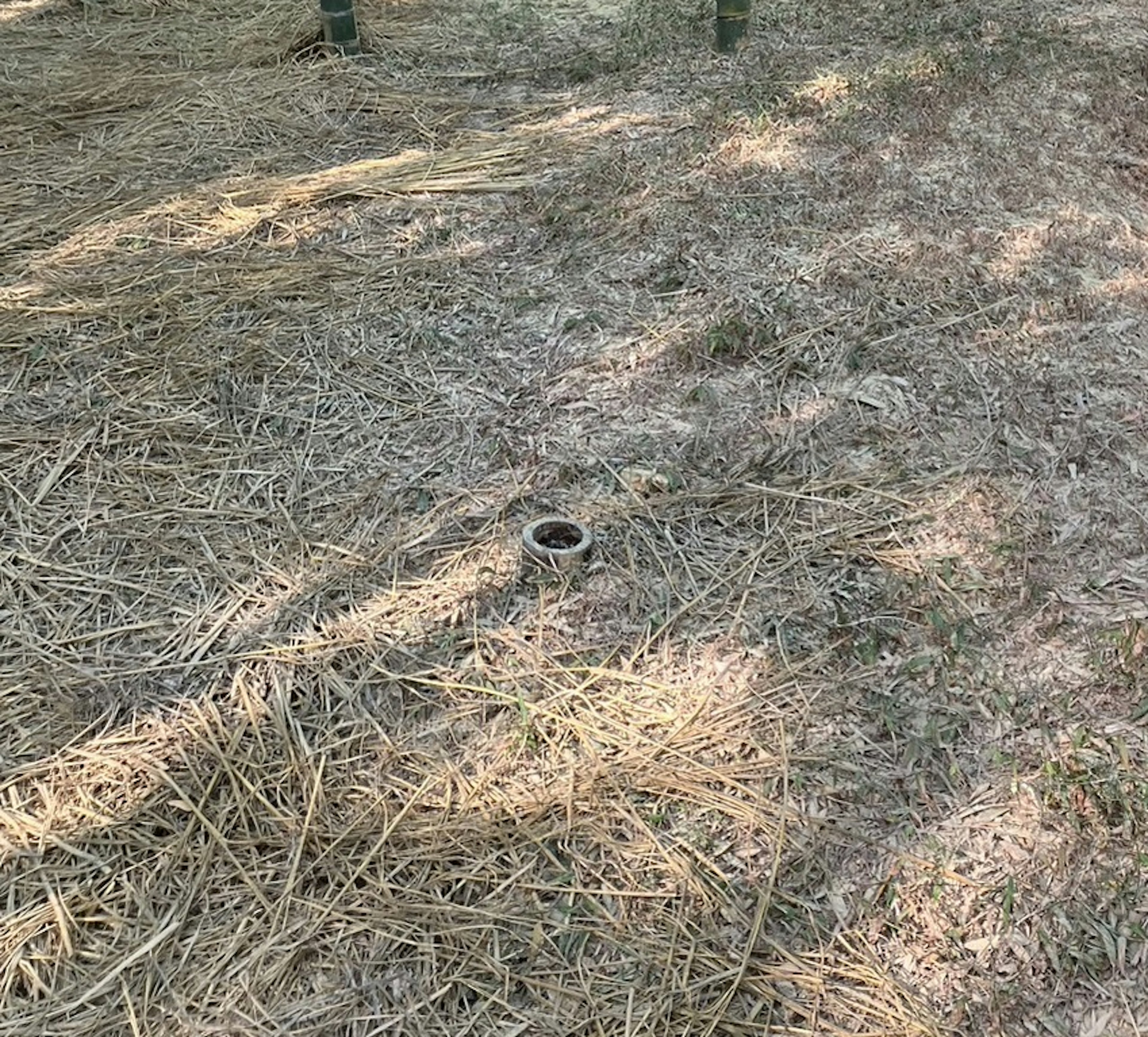 Ein trockener Grasbereich mit einem kleinen schwarzen Loch, umgeben von Stroh