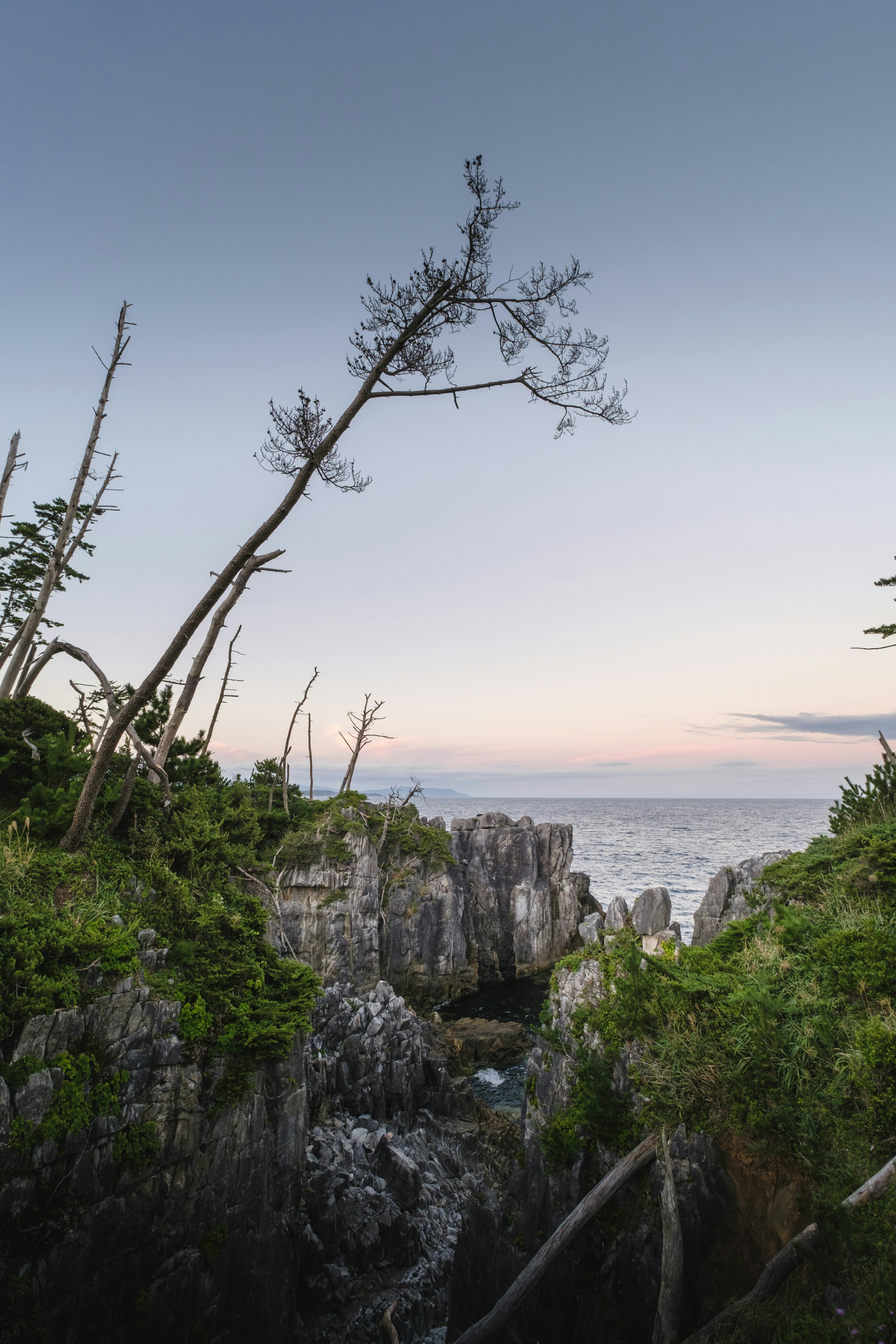 Coastal landscape featuring rocks and green trees