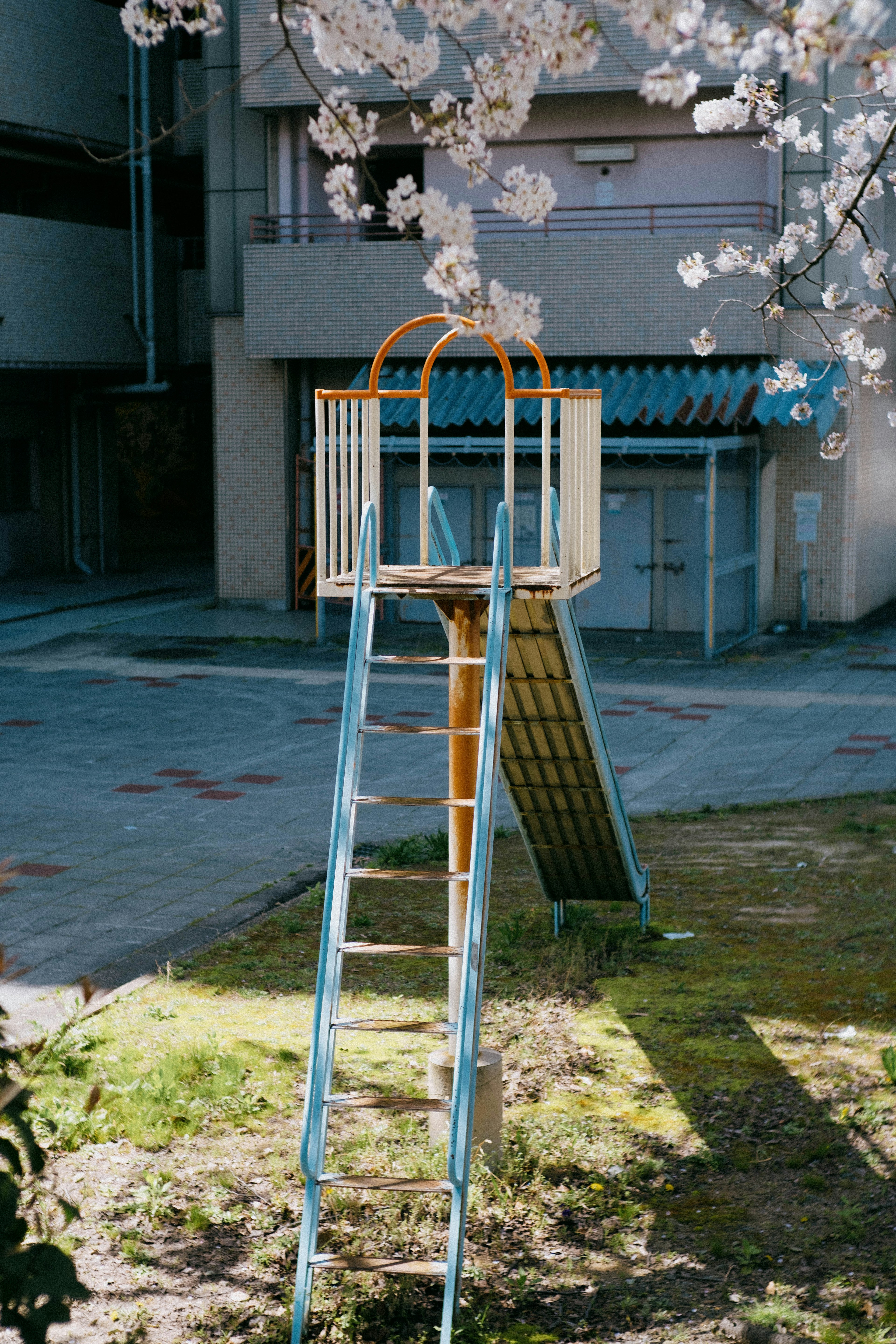 Toboggan de parc avec des cerisiers en fleurs en arrière-plan