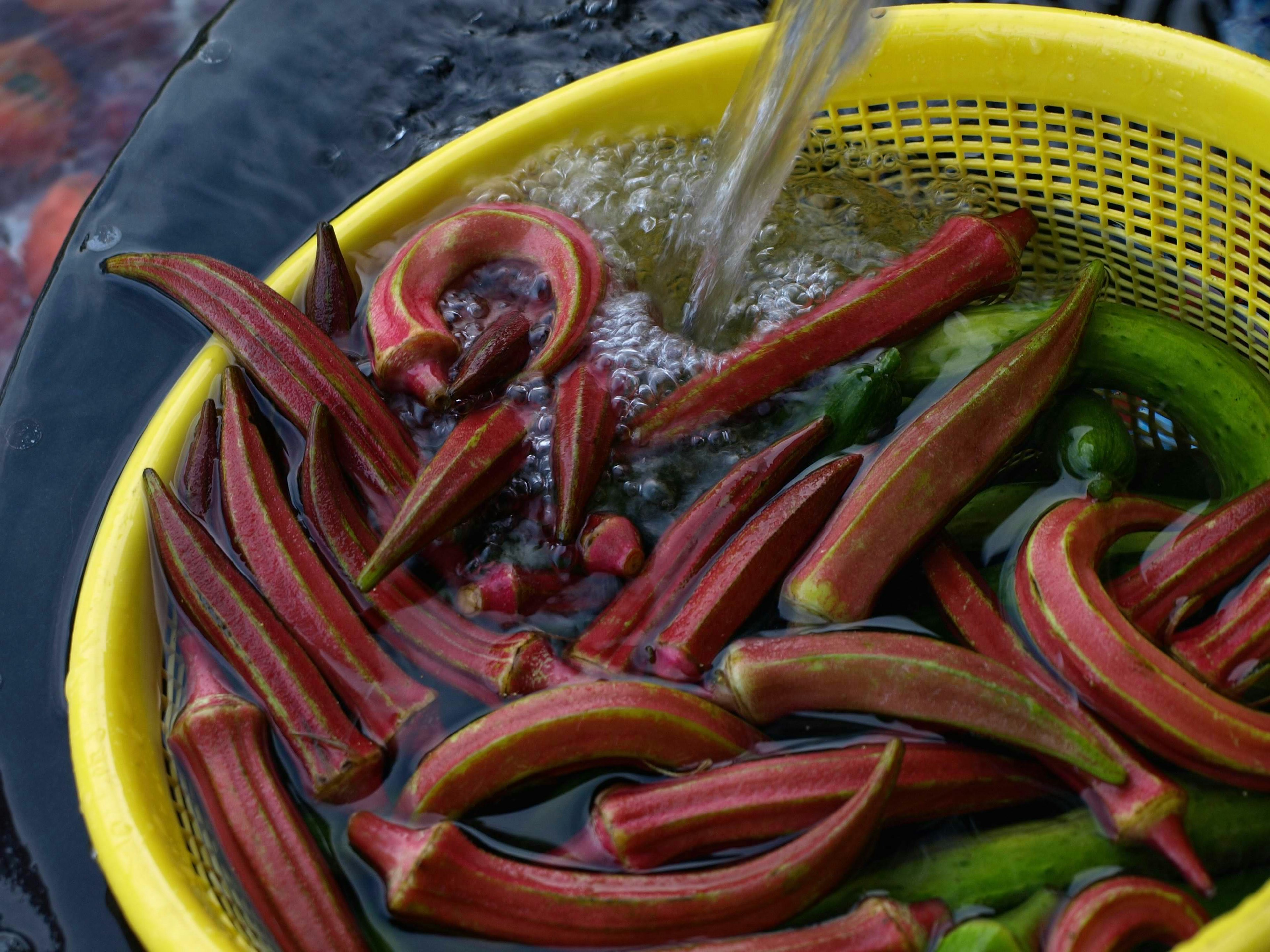 Okra fresco sciacquato in un cestino giallo