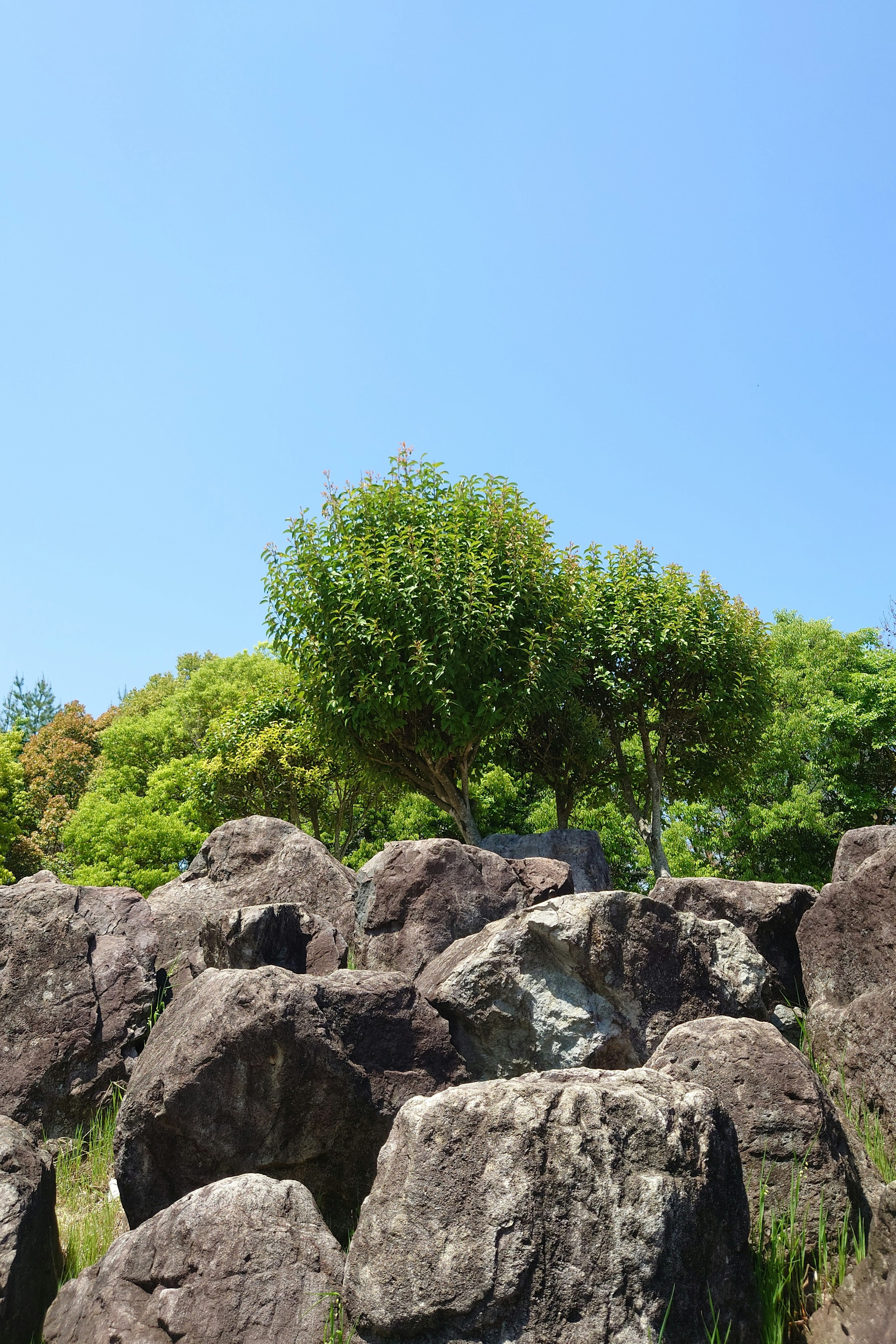 Eine malerische Ansicht von großen Felsen und grünen Bäumen unter einem blauen Himmel