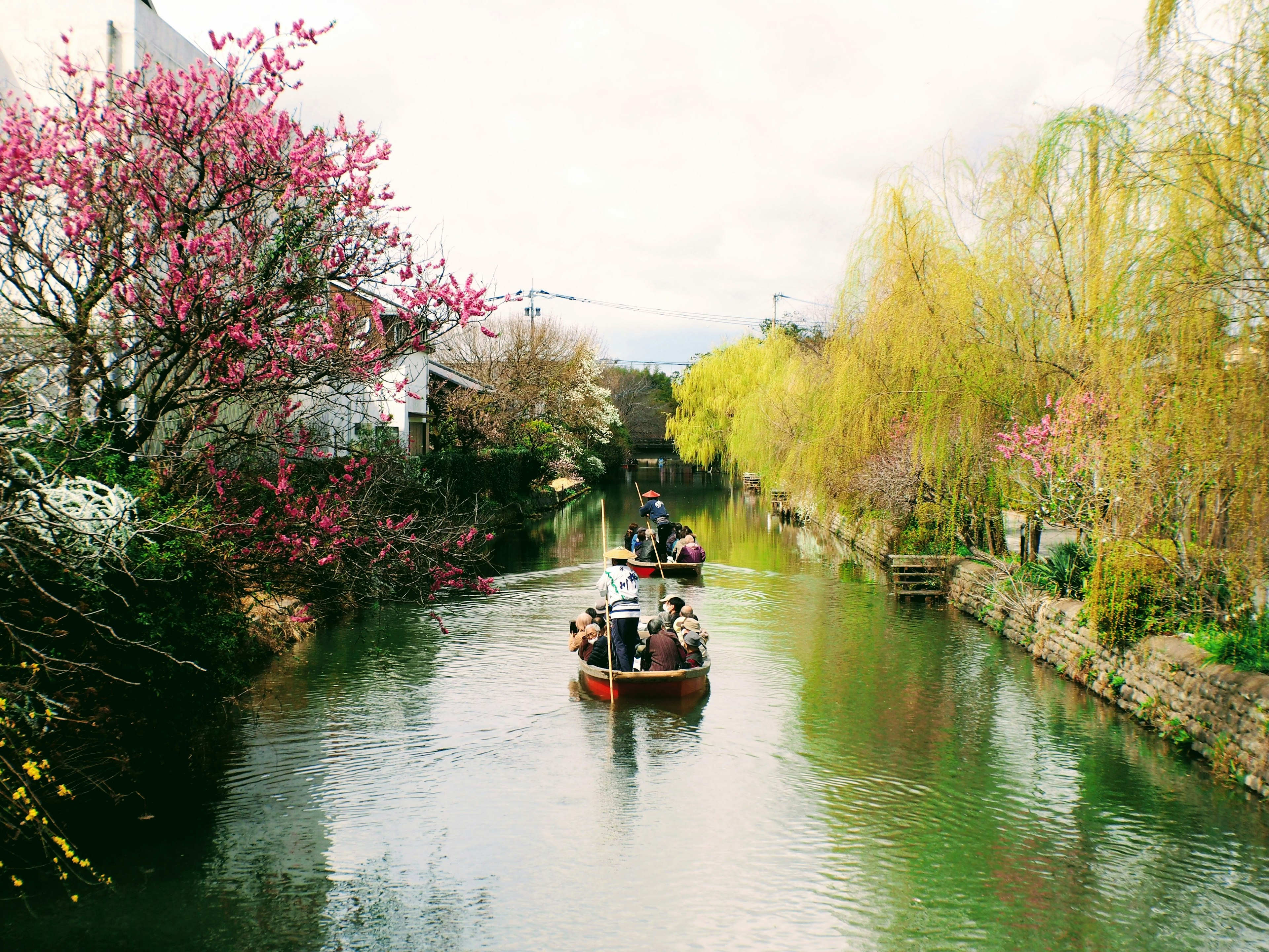 ทิวทัศน์สวยงามของแม่น้ำพร้อมเรือและดอกซากุระ