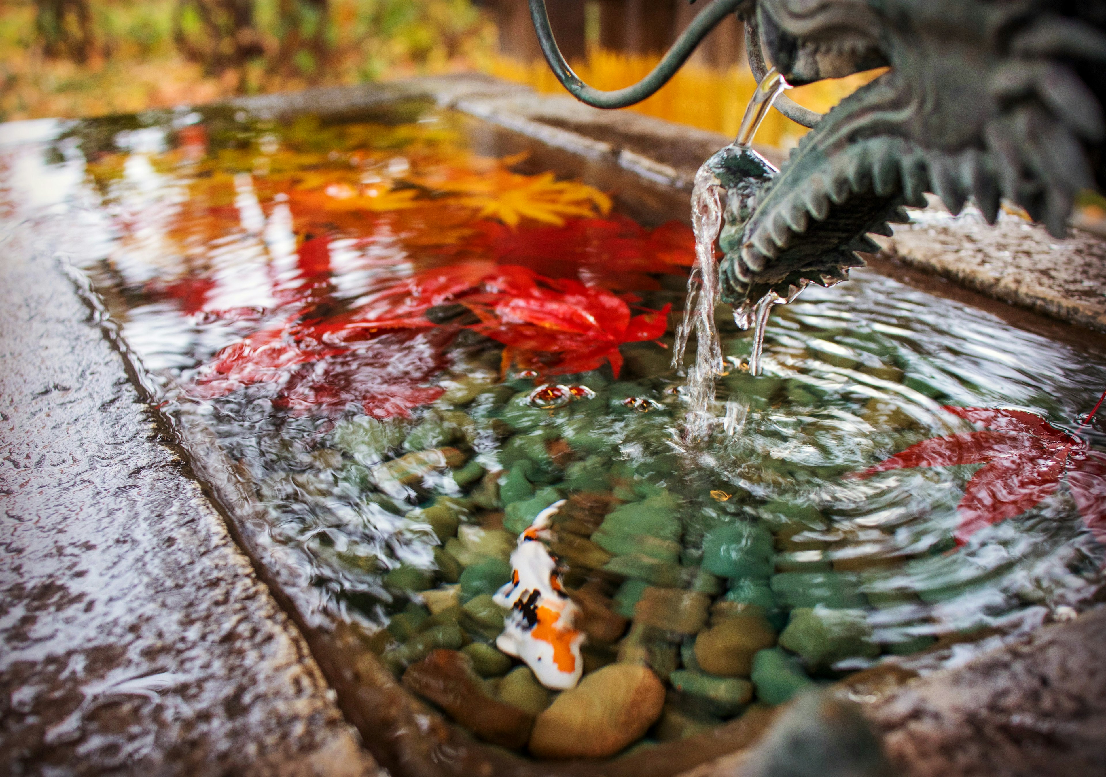 Imagen de un estanque tranquilo con hojas coloridas flotantes y agua fluyendo de un pico de dragón