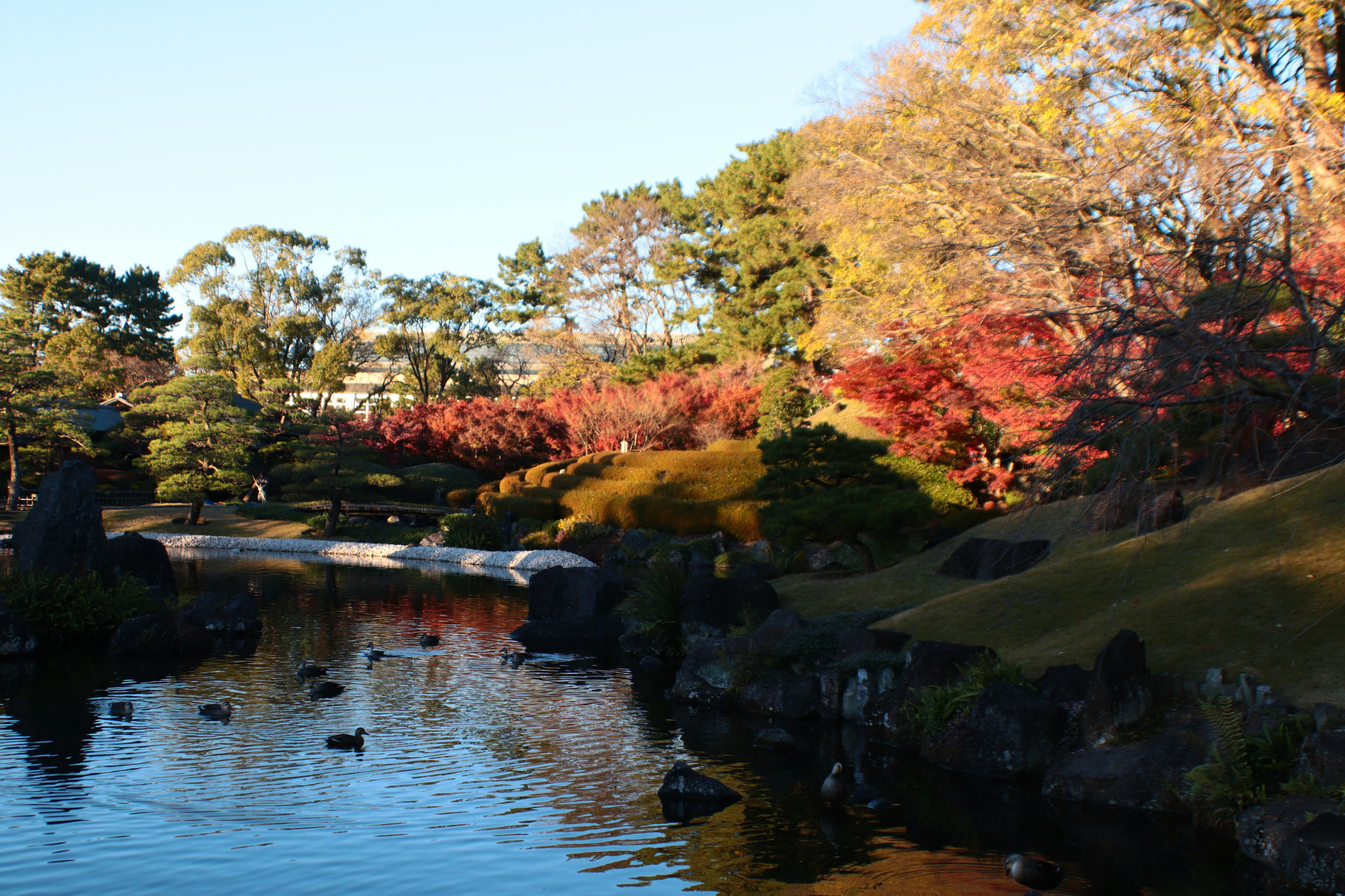 Schöne Herbstlandschaft im Park mit einer Brücke und bunten Bäumen, die sich im Teich spiegeln