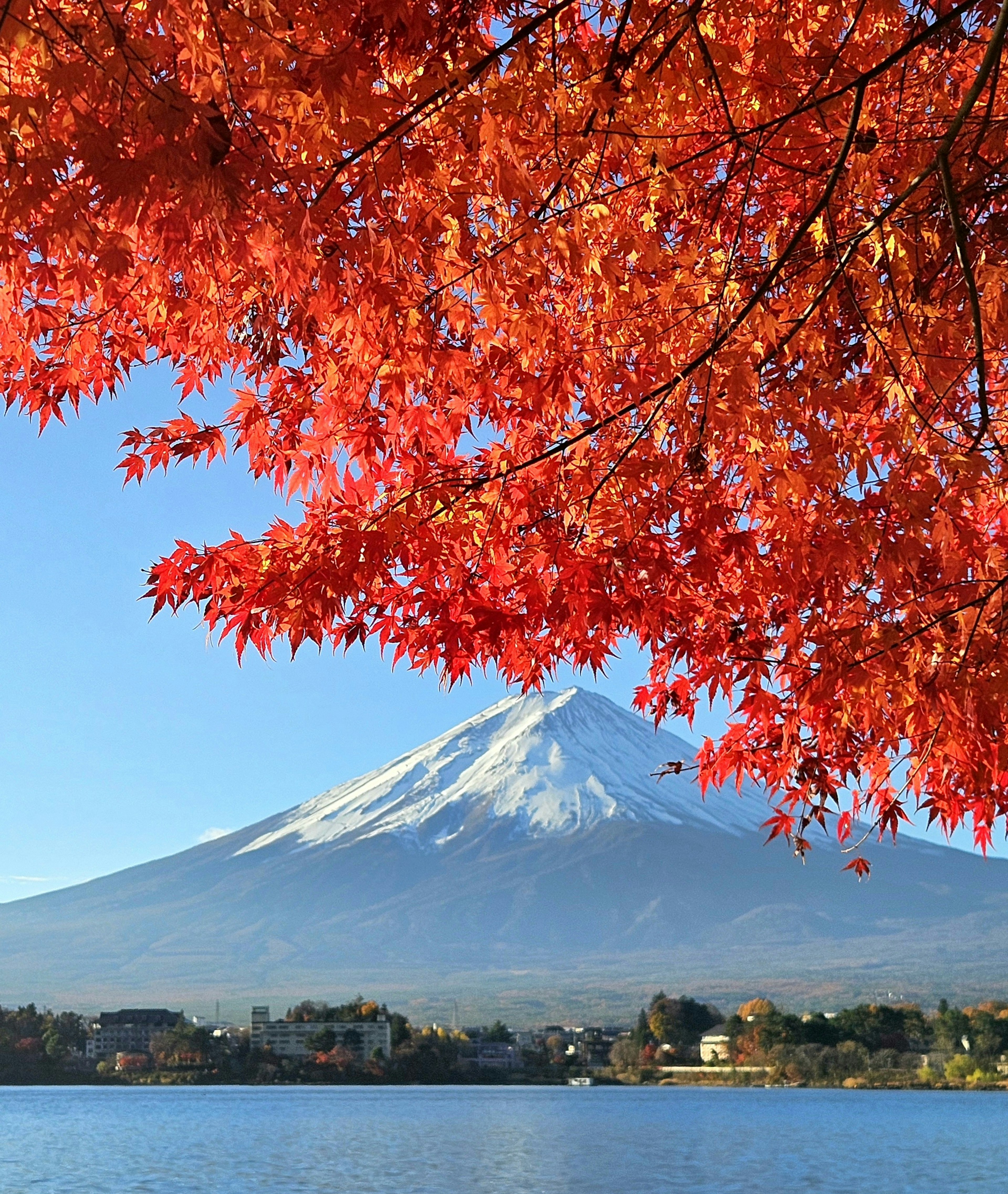 Vista escénica del monte Fuji con hojas de otoño vibrantes