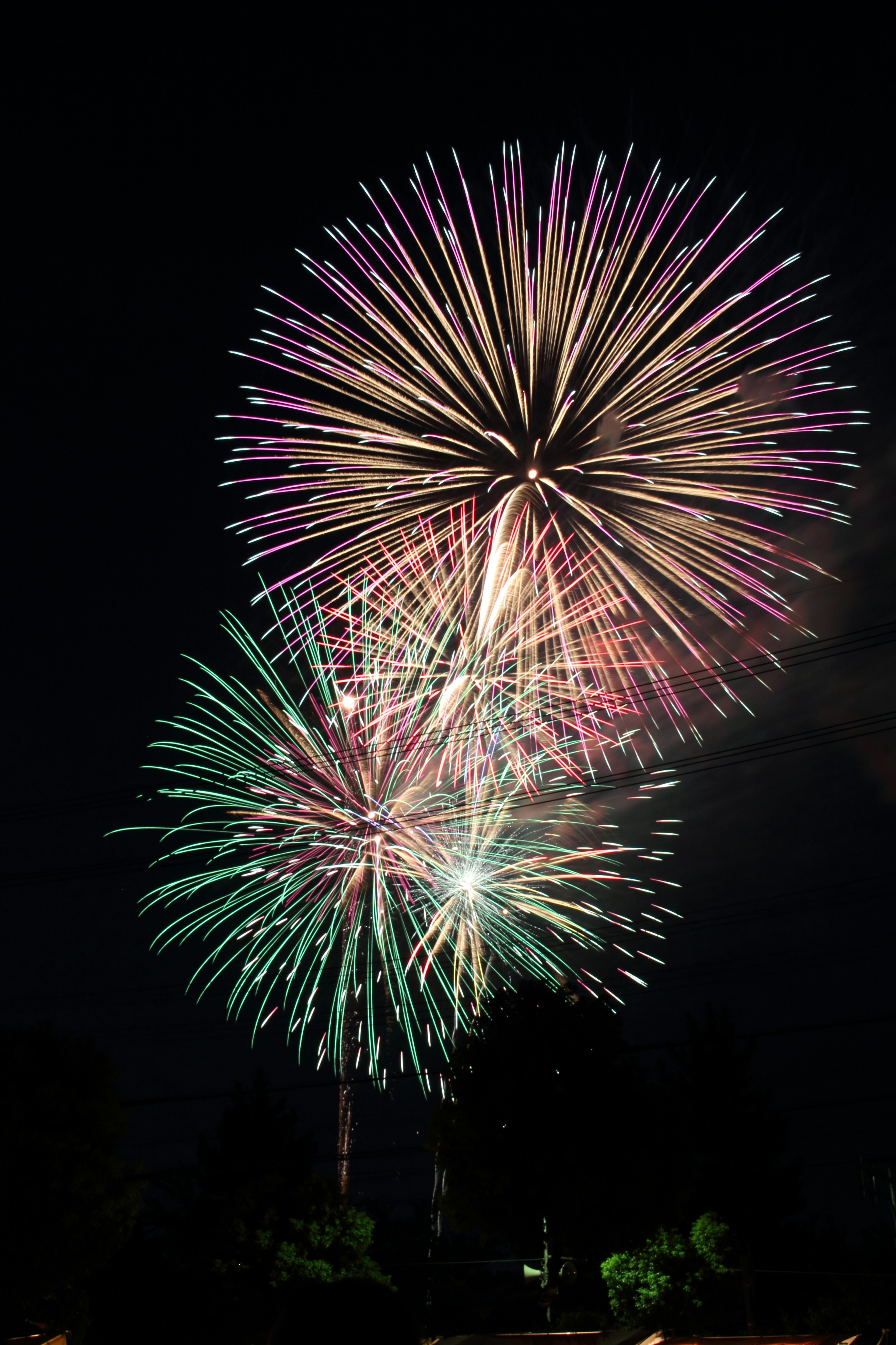 Vibrant fireworks bursting in the night sky with various colors