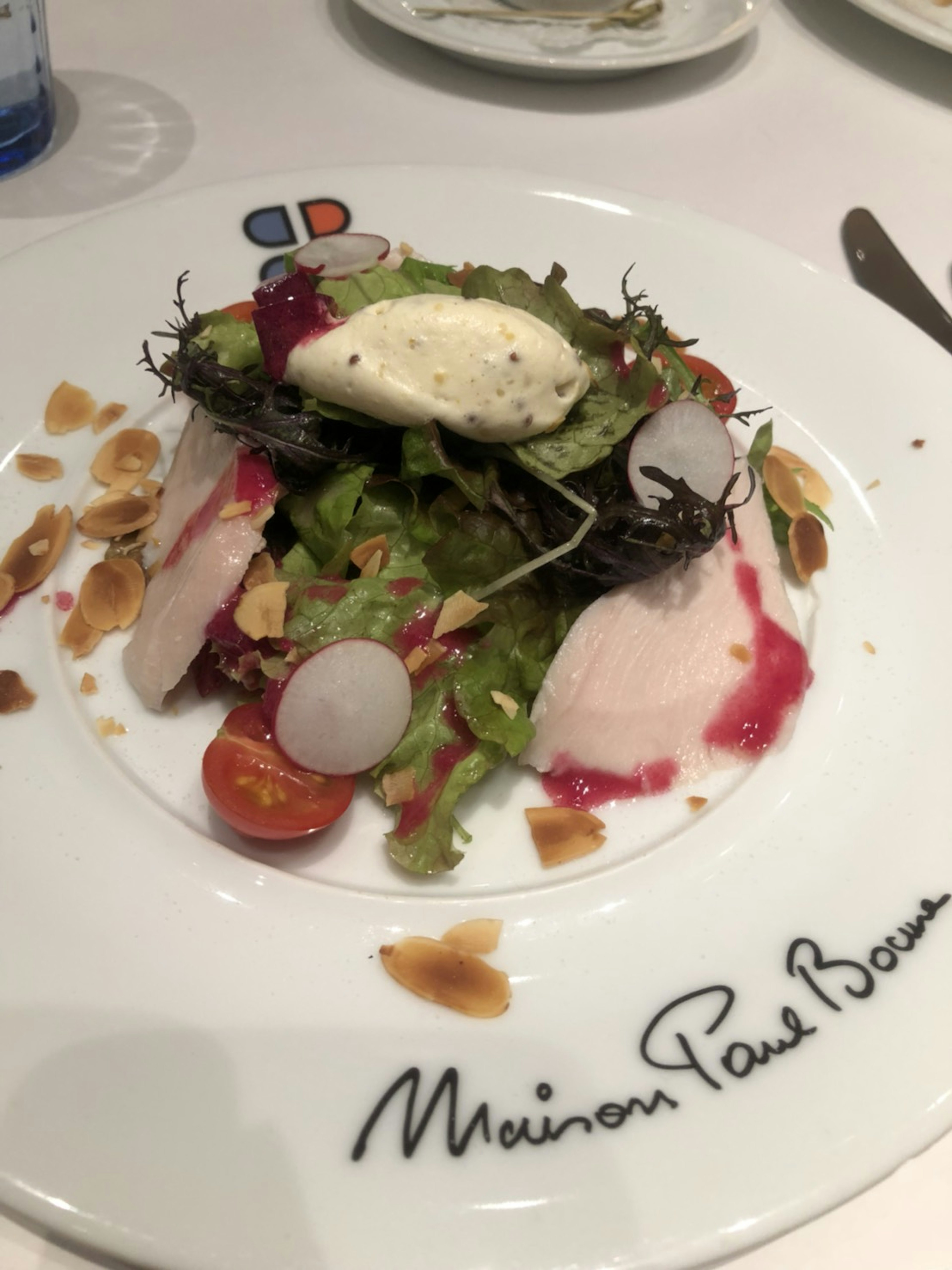 A beautifully plated salad featuring fresh greens cherry tomatoes and a creamy dressing on a decorative plate