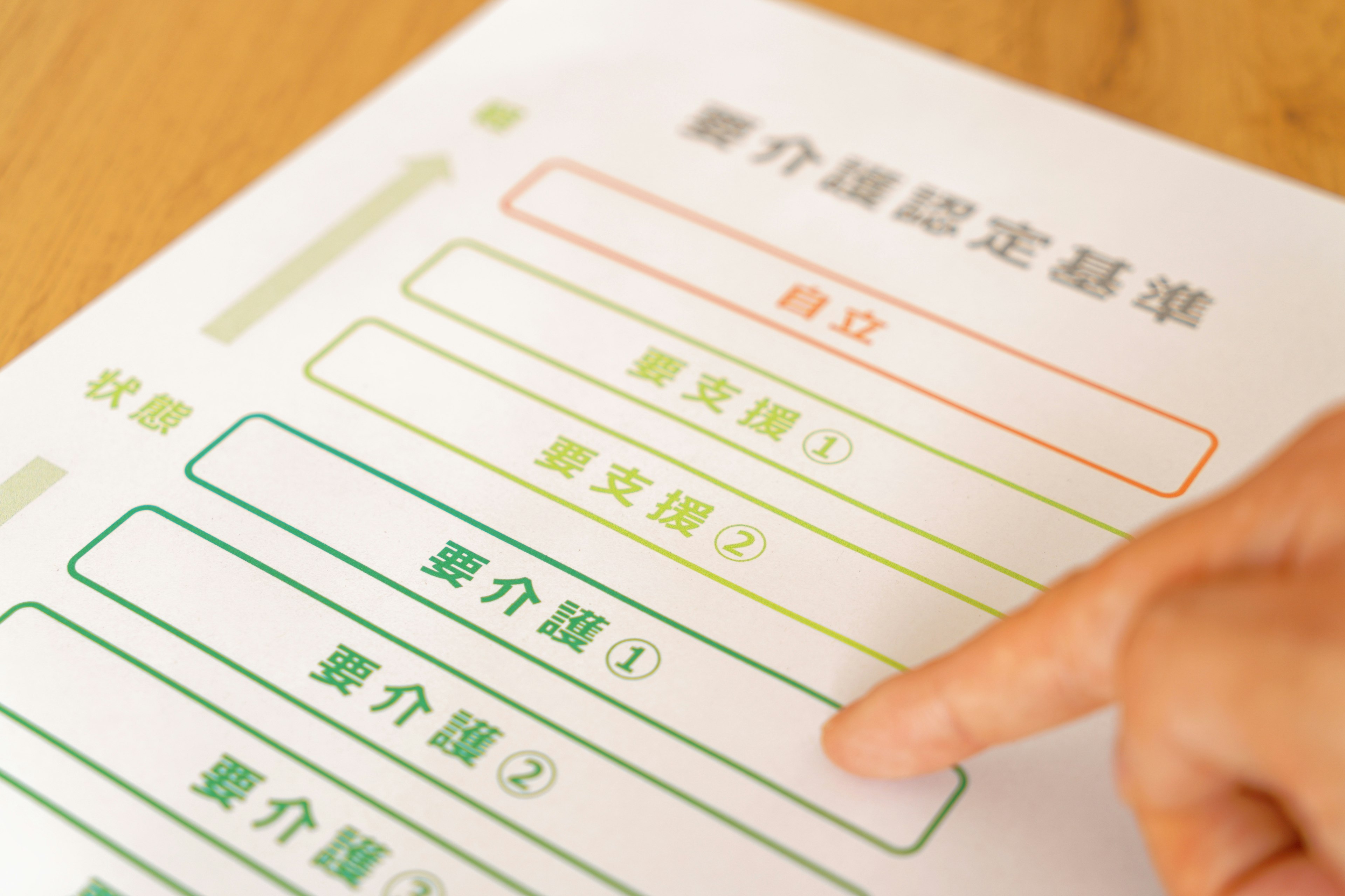 指が書類の項目に触れている様子